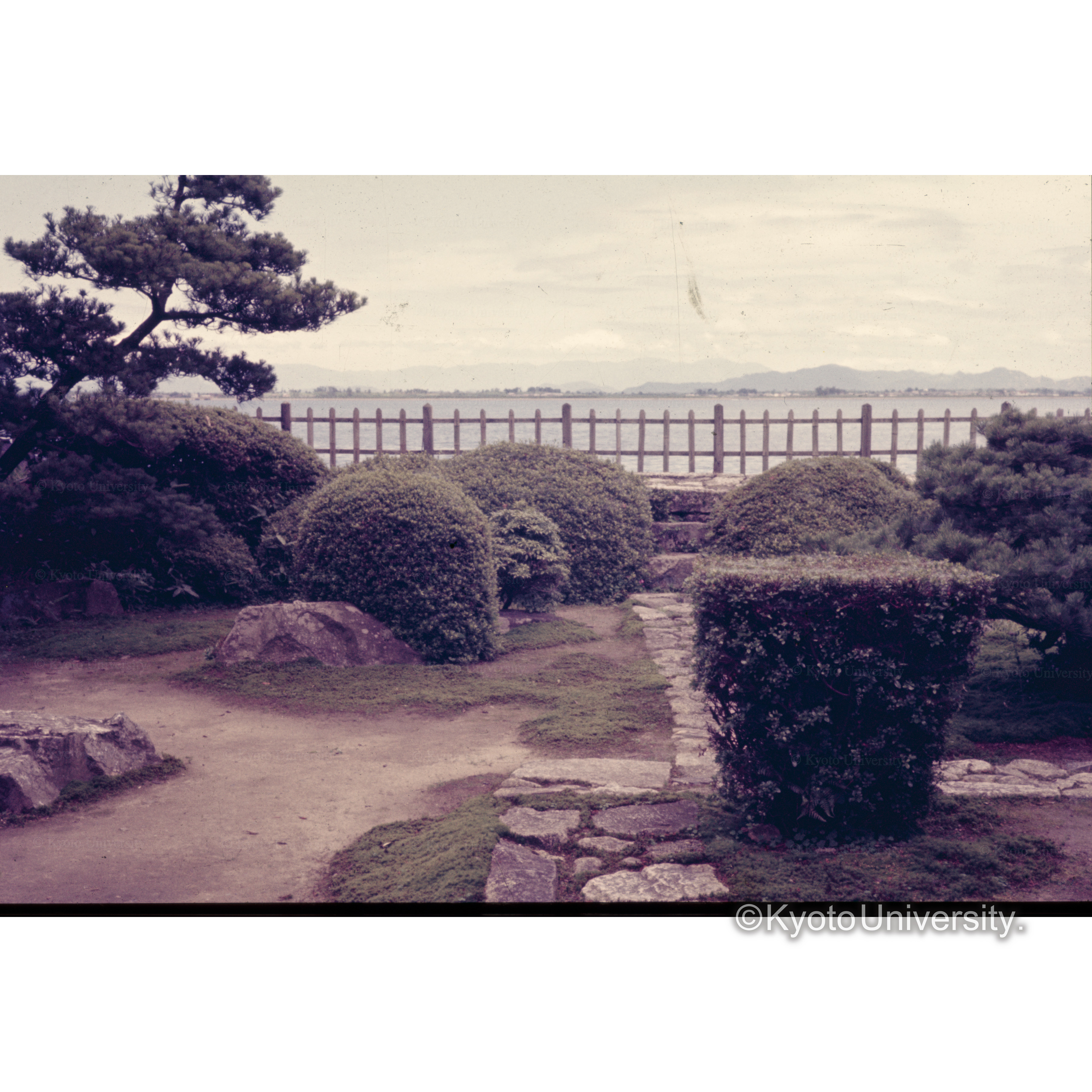 〔庭園から見る〕 (1)