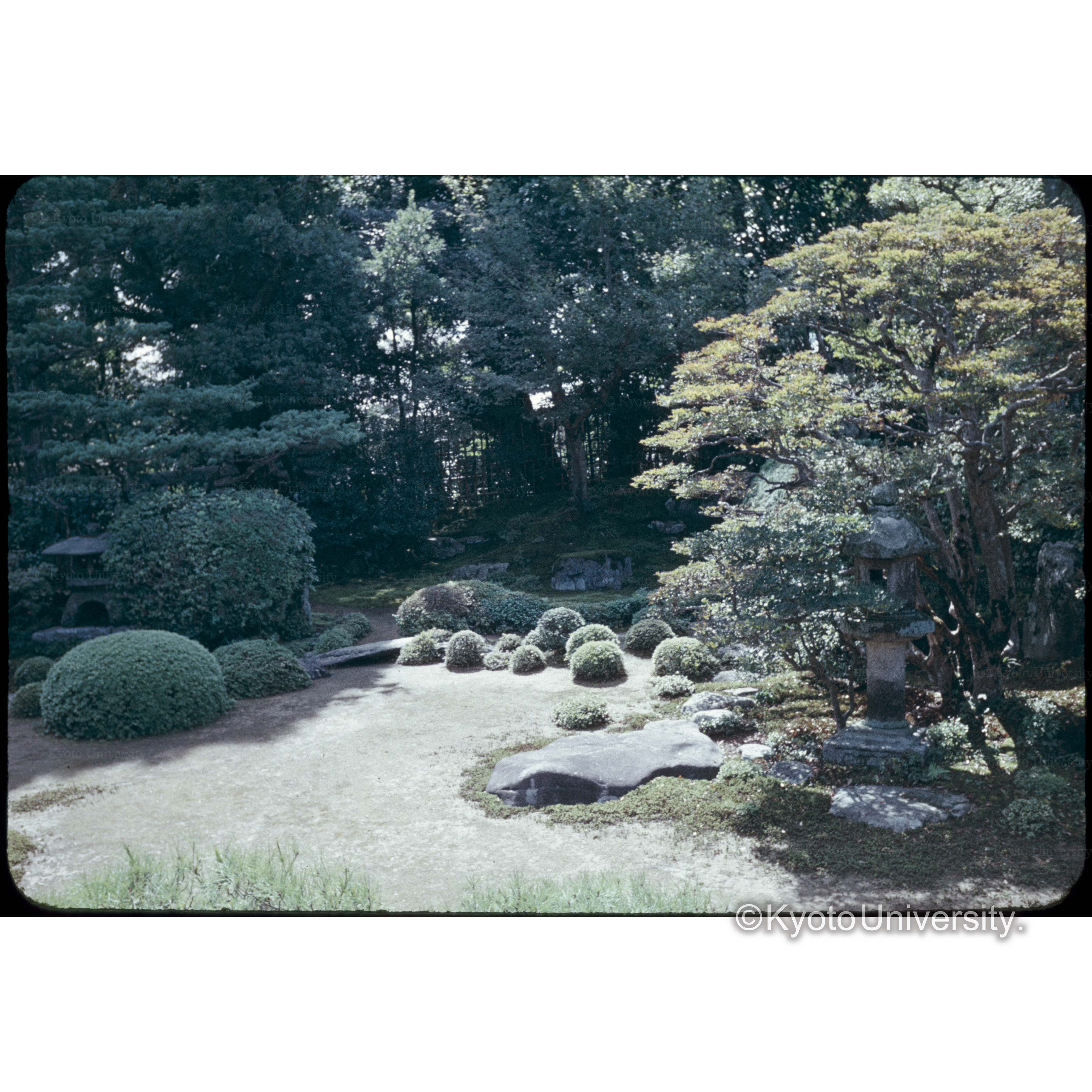 大徳院孤篷庵 (1)