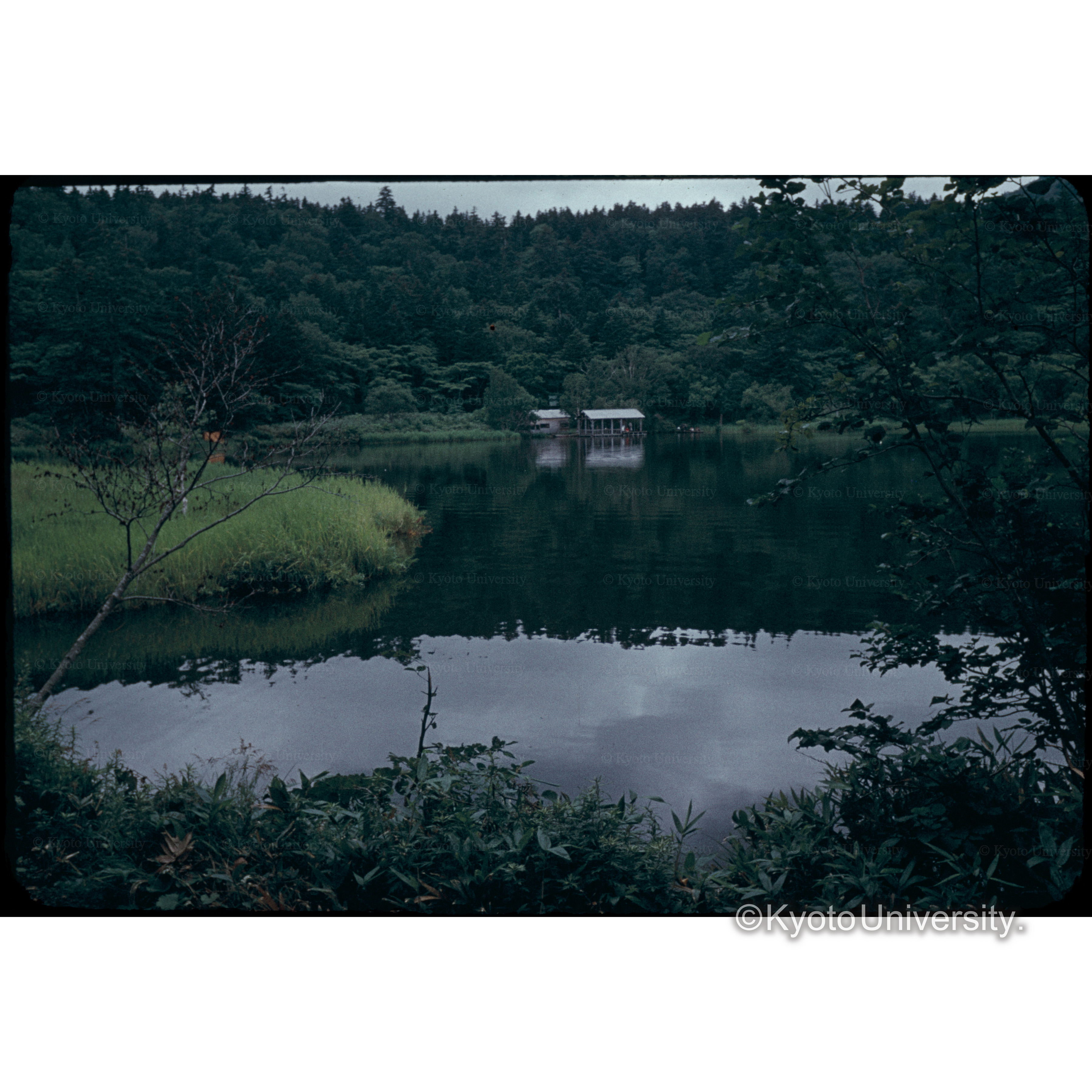 利尻島の姫沼 (1)