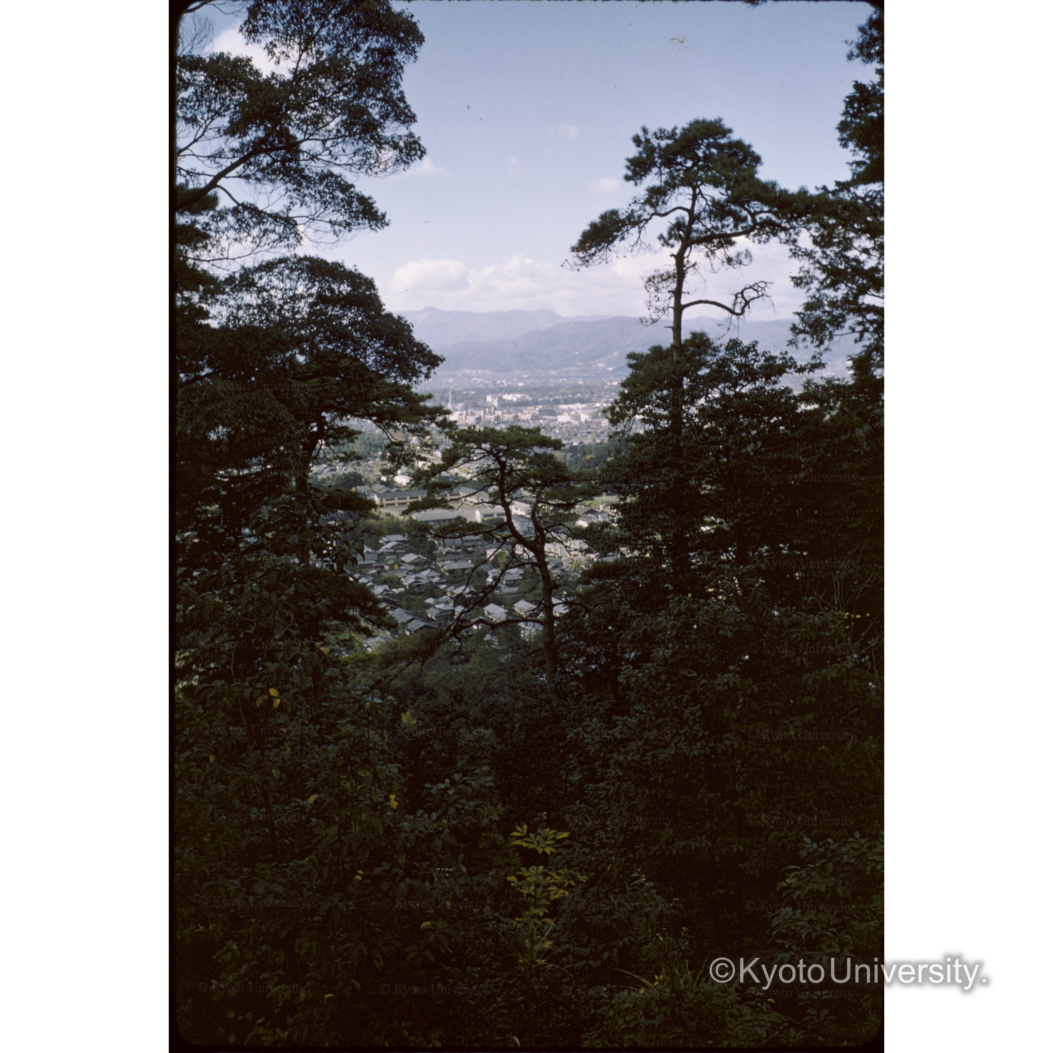 〔山から街を望む〕 (1)