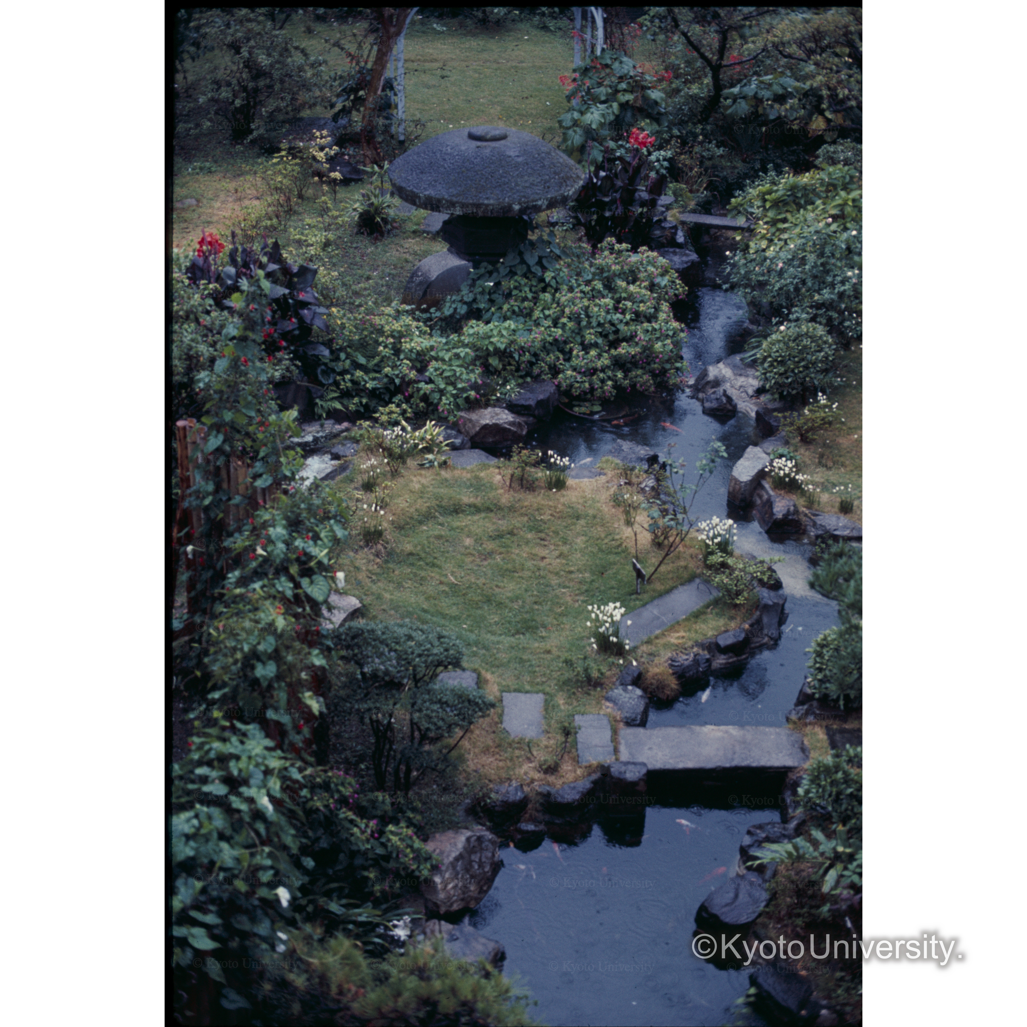 日奈久ホテル庭園 (1)