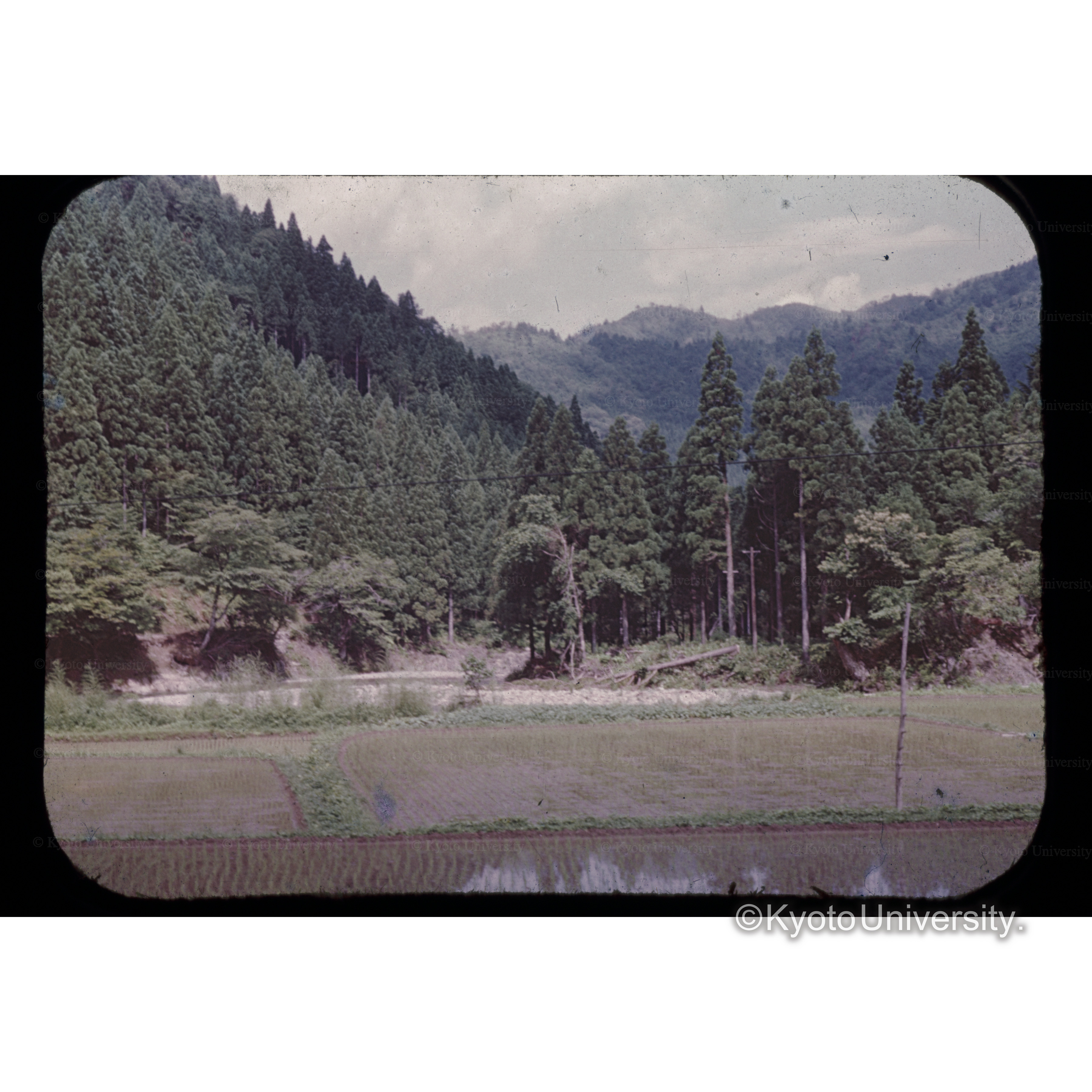 四明会の山を望む (1)