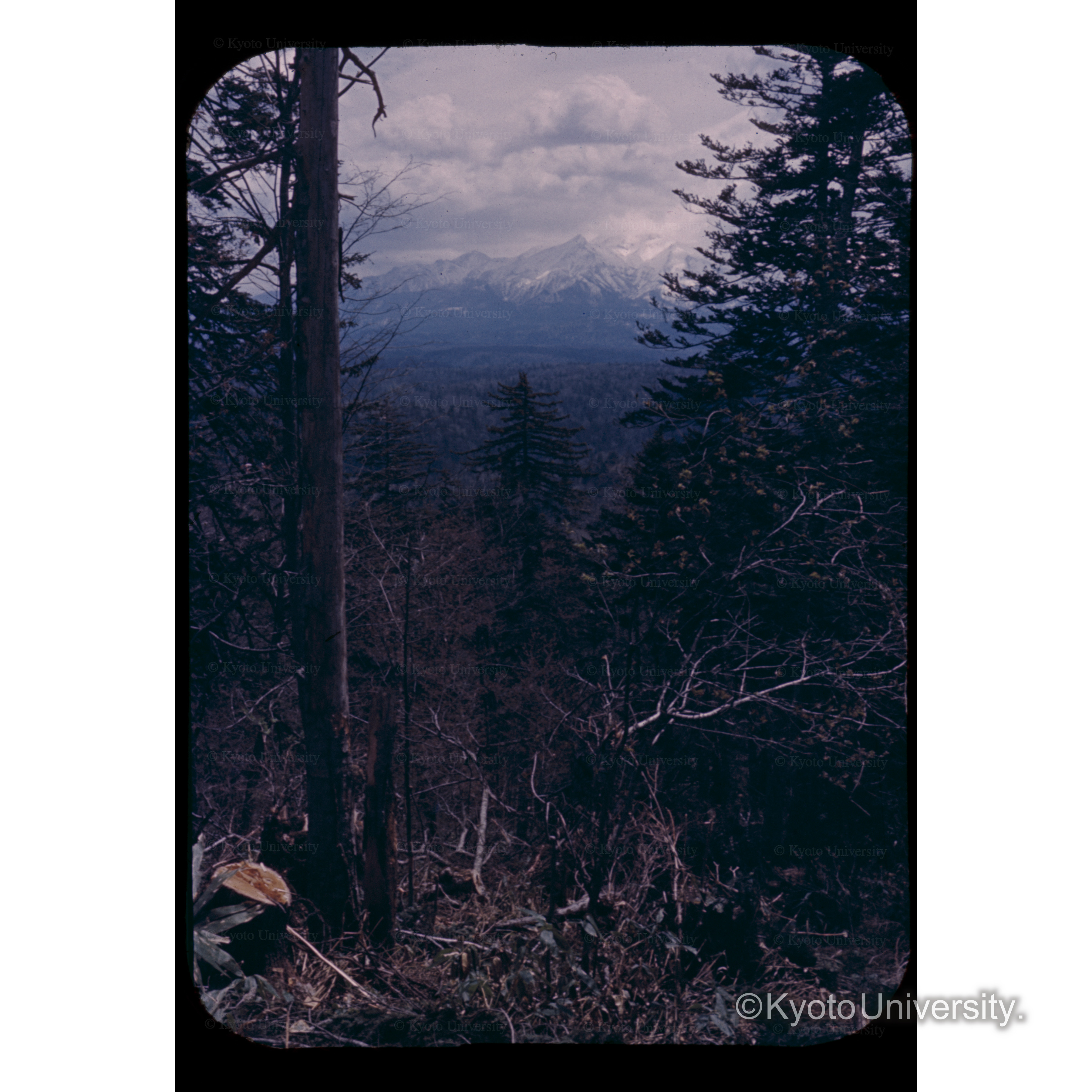 安足間□□□ (1)