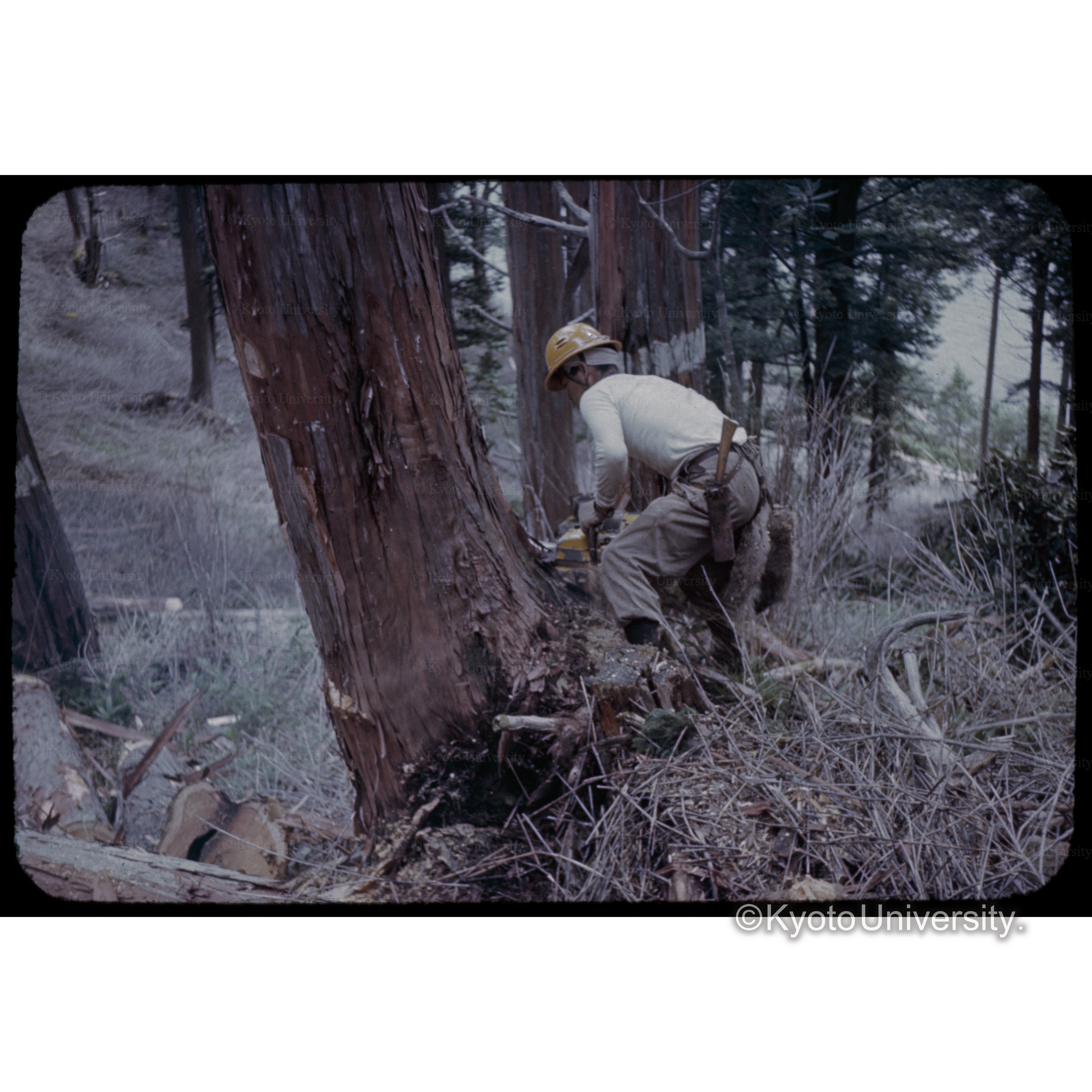 木曽三浦事業□ (1)