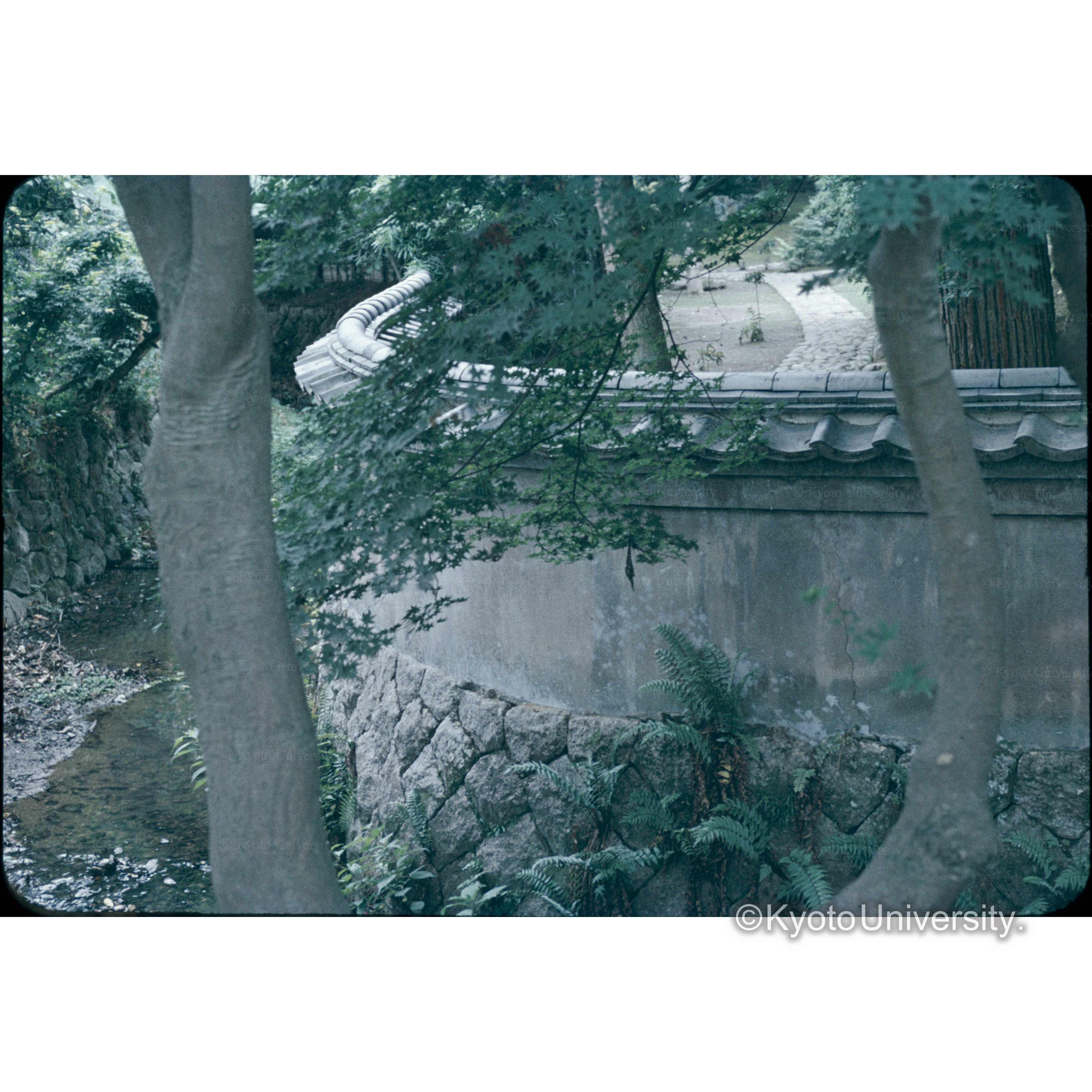 依水園入口の塀 (1)