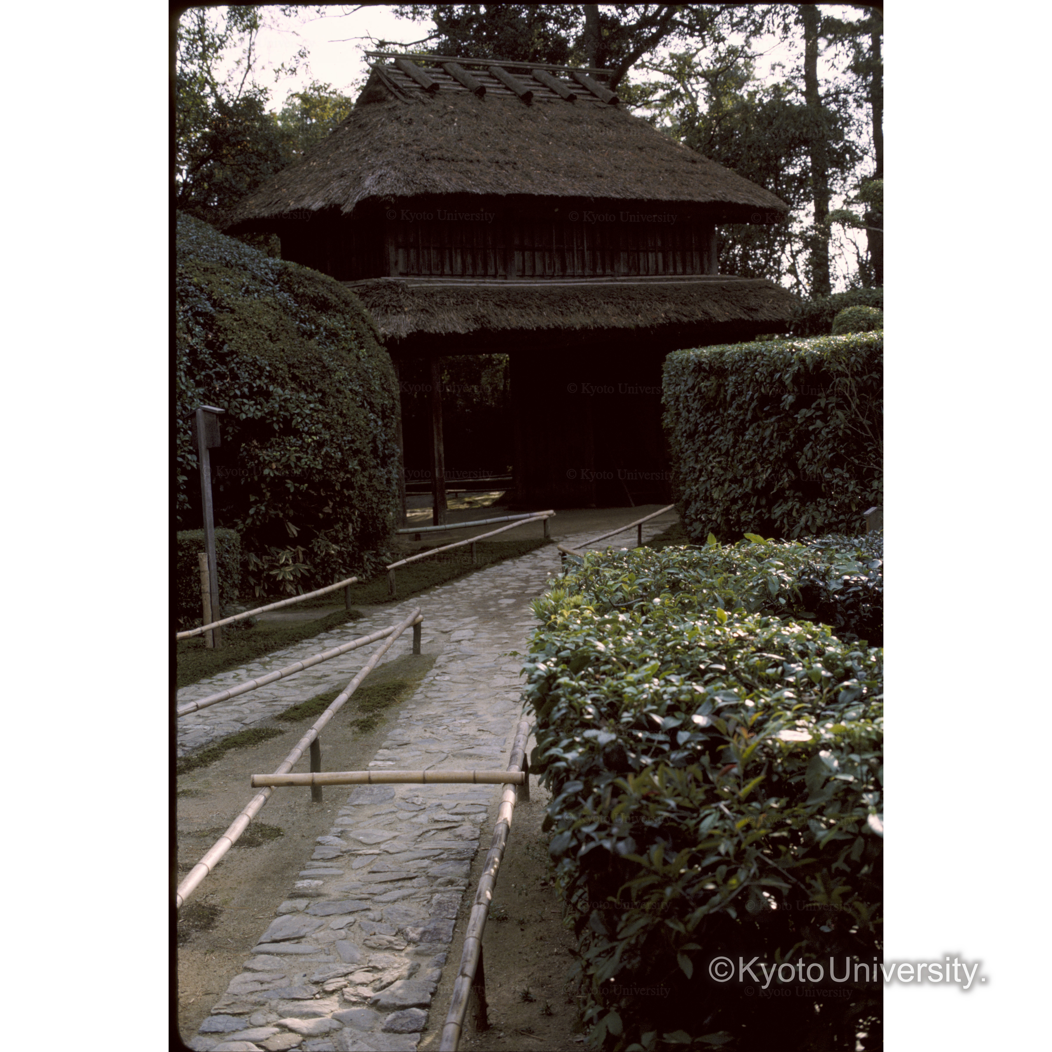 慈光院(茨木城の門) (1)