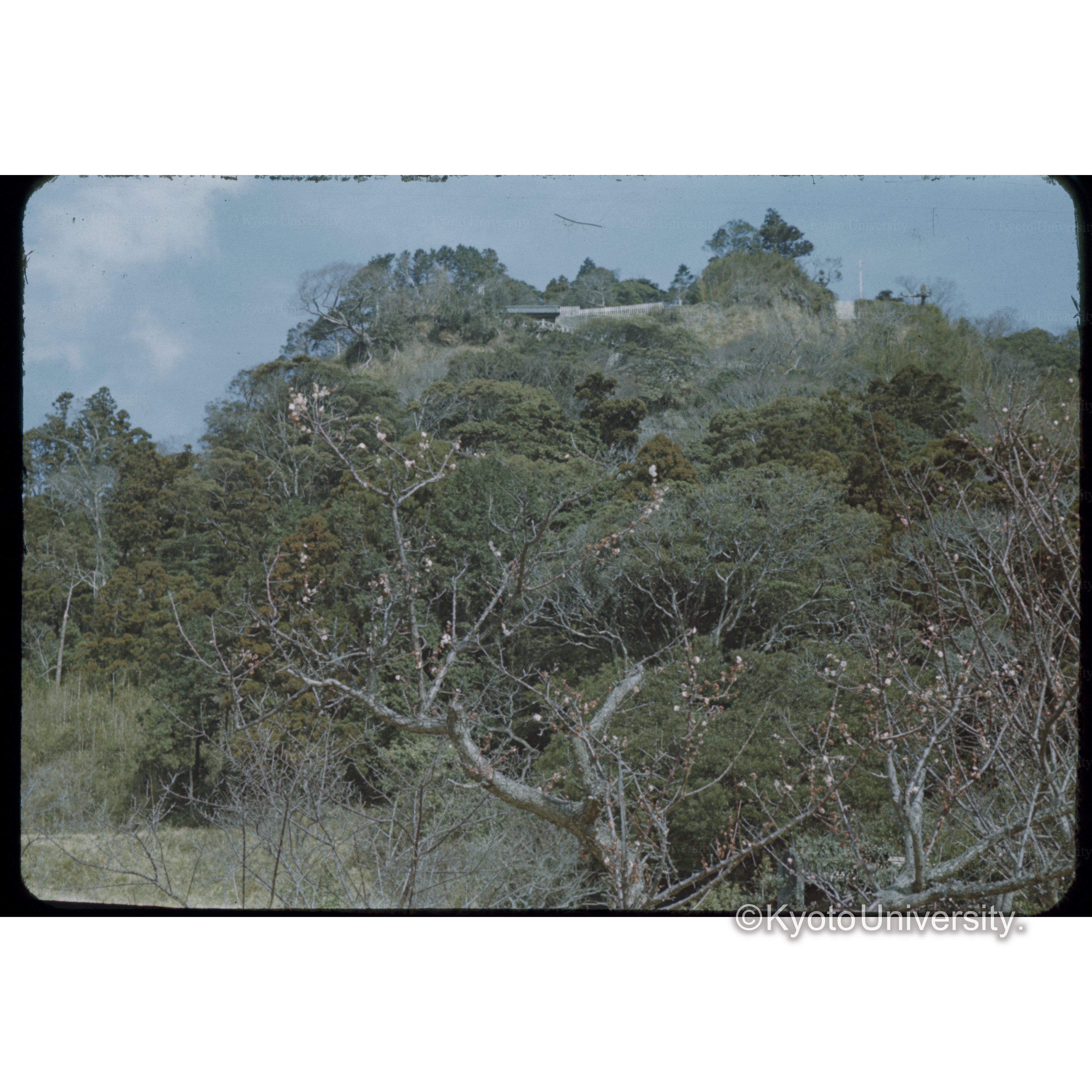 久能山　Kuno Mt. Shizuoka pref. (1)