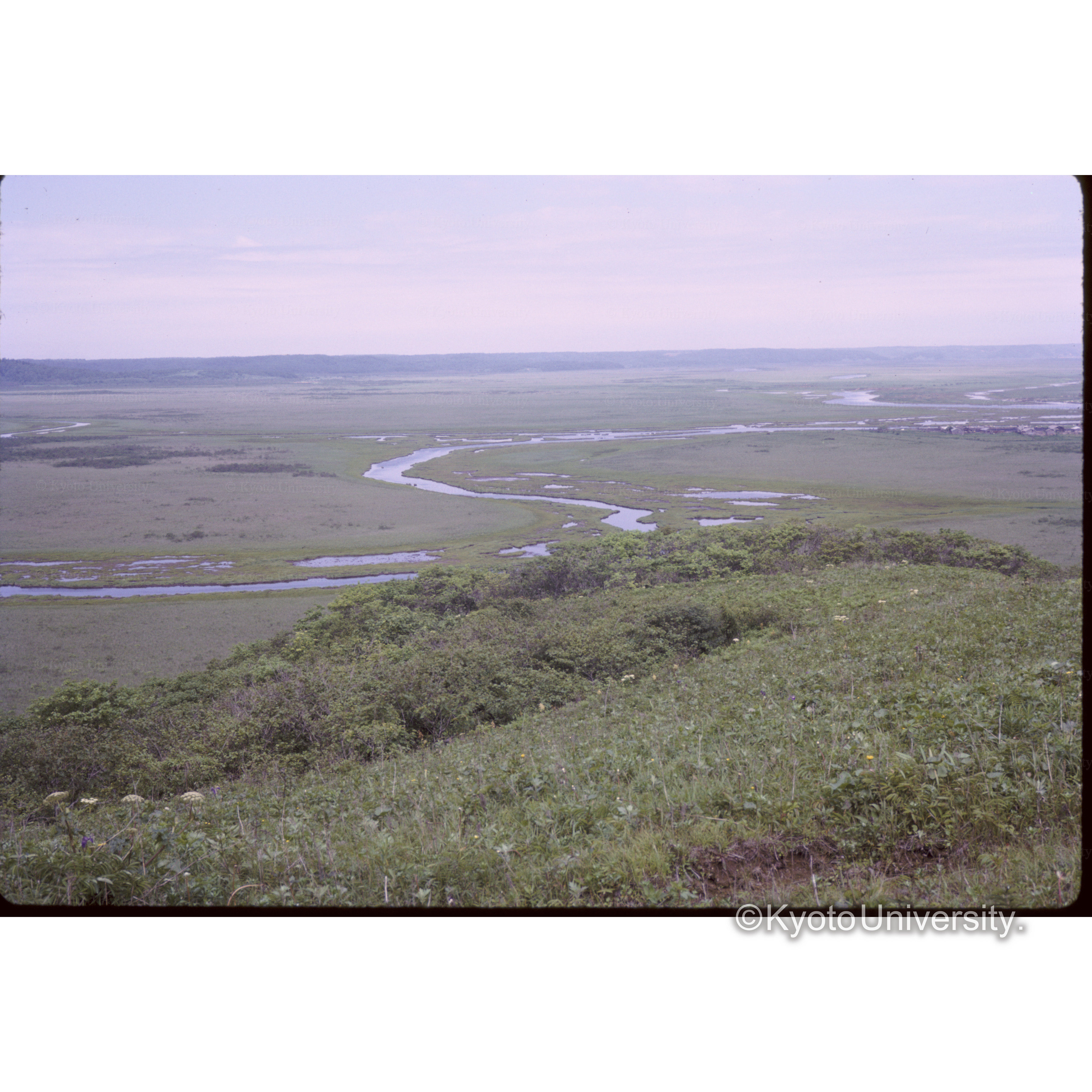 浜中キリタップの湿原 (1)