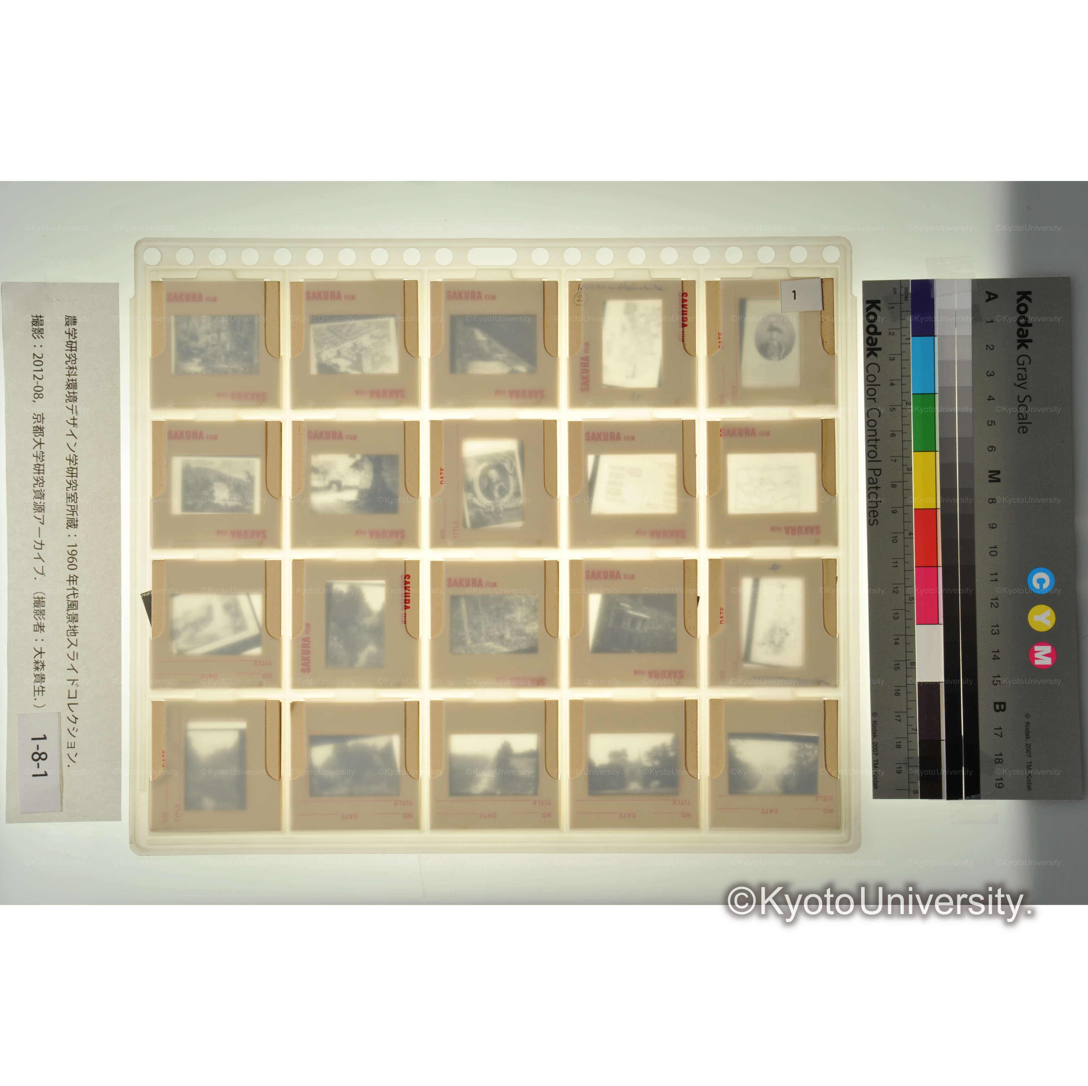 〔ドイツの城および庭園の資料〕 (2)