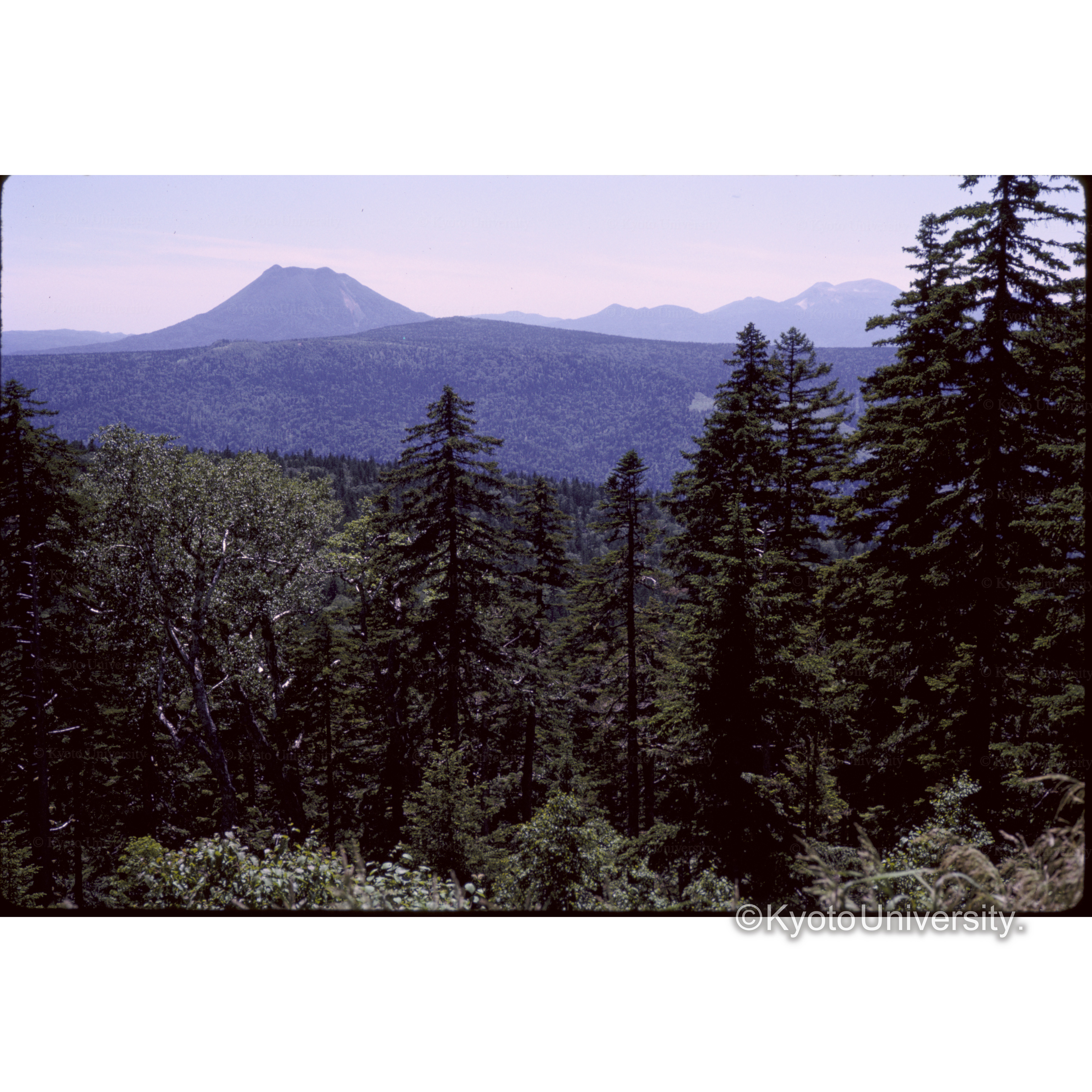 津別峠からみたアカン岳 (1)