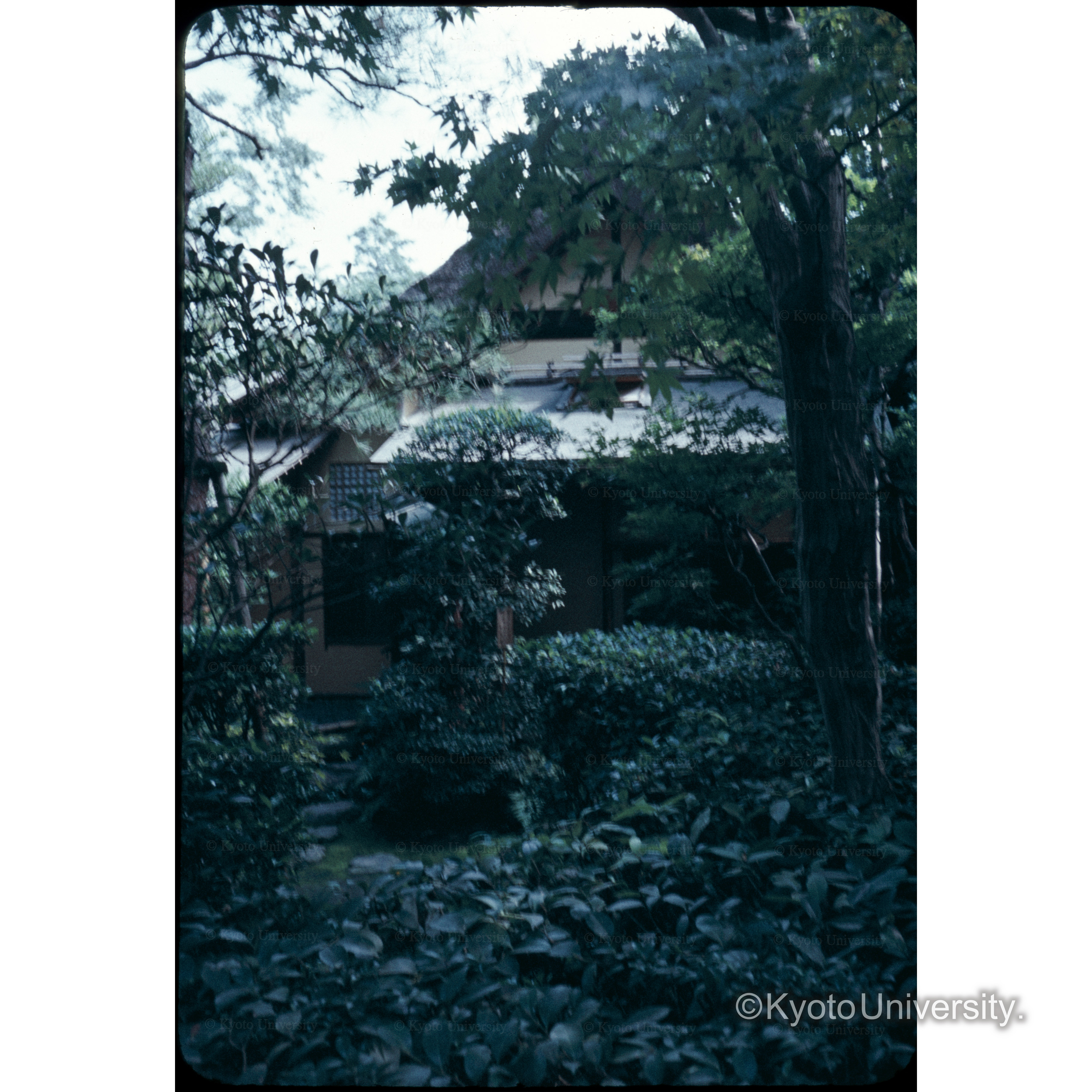 不審庵残月亭 (1)