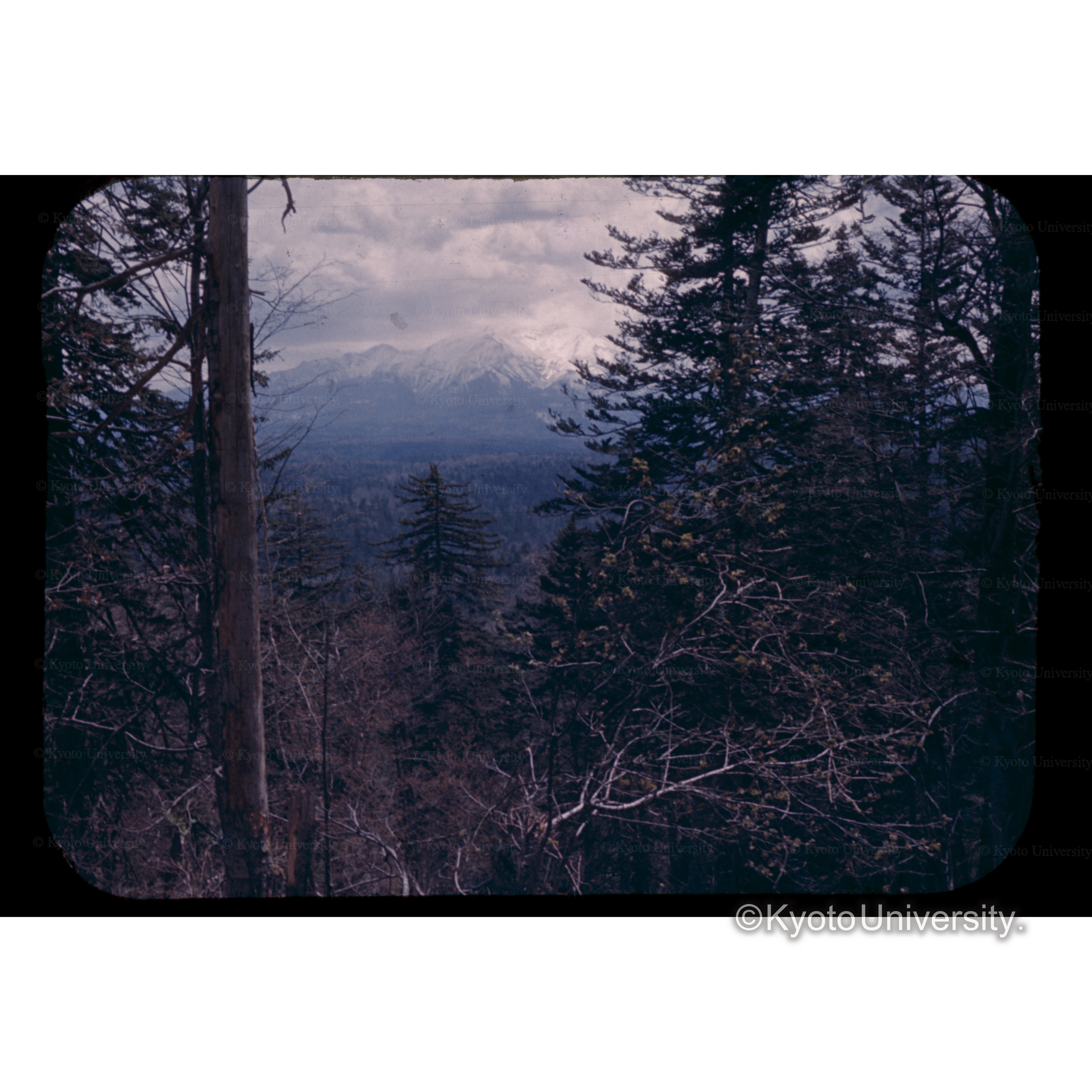 安足間照□法 (1)