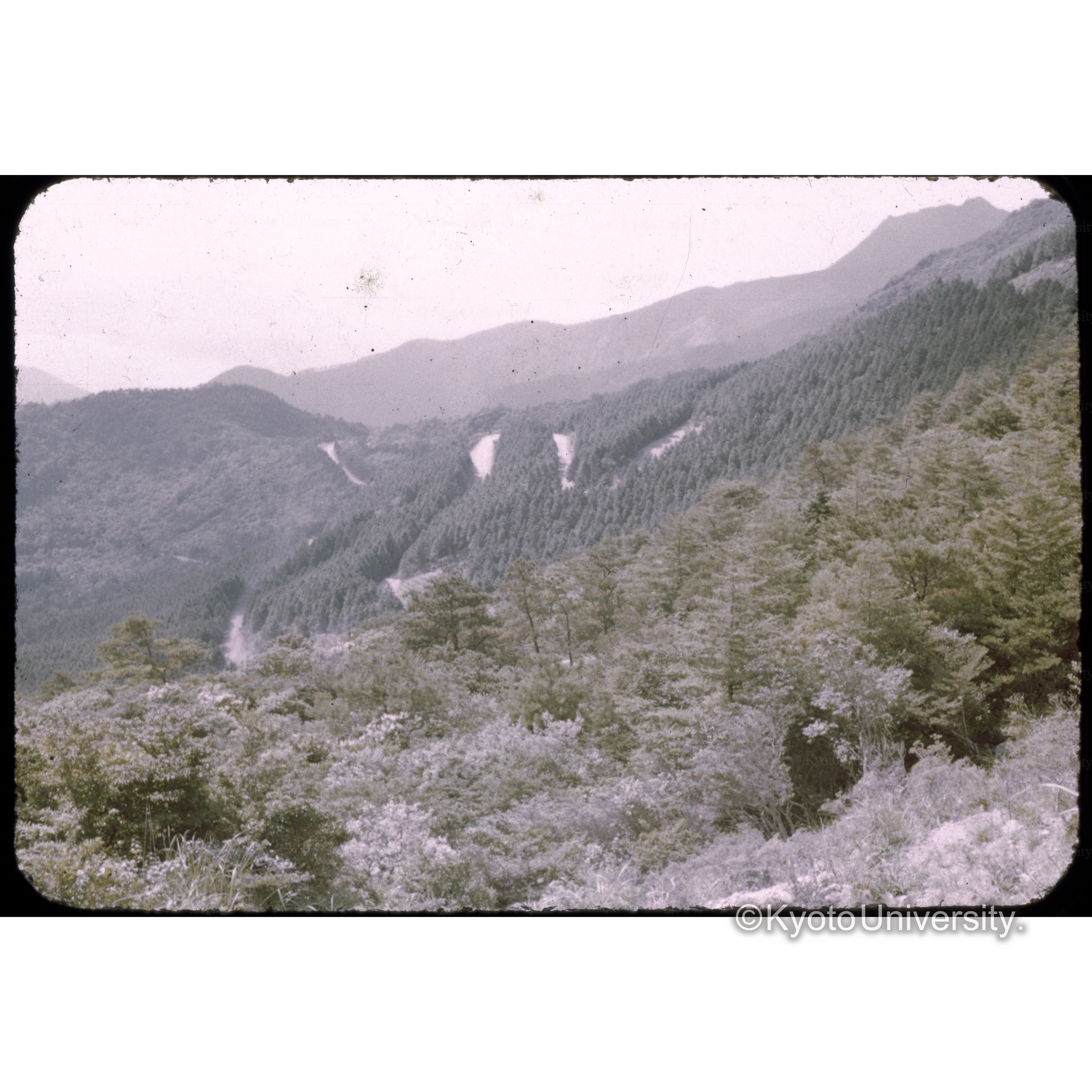 仁田峠(雲仙) (1)