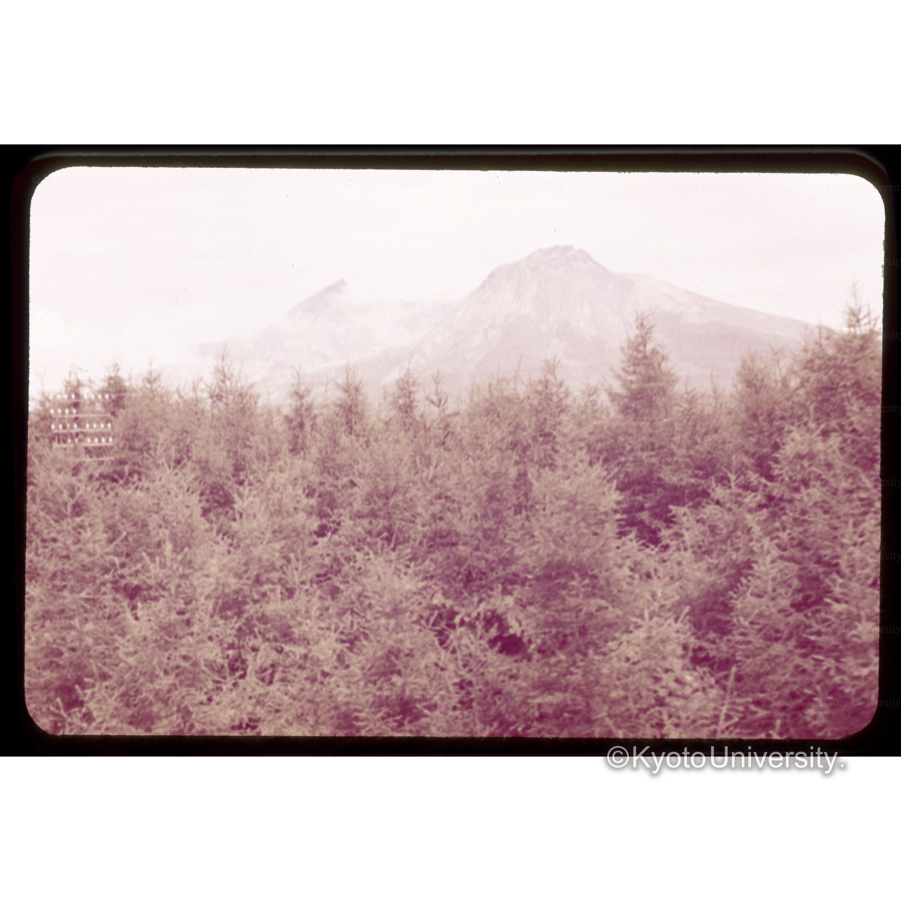 車中からみた羊蹄山 (1)