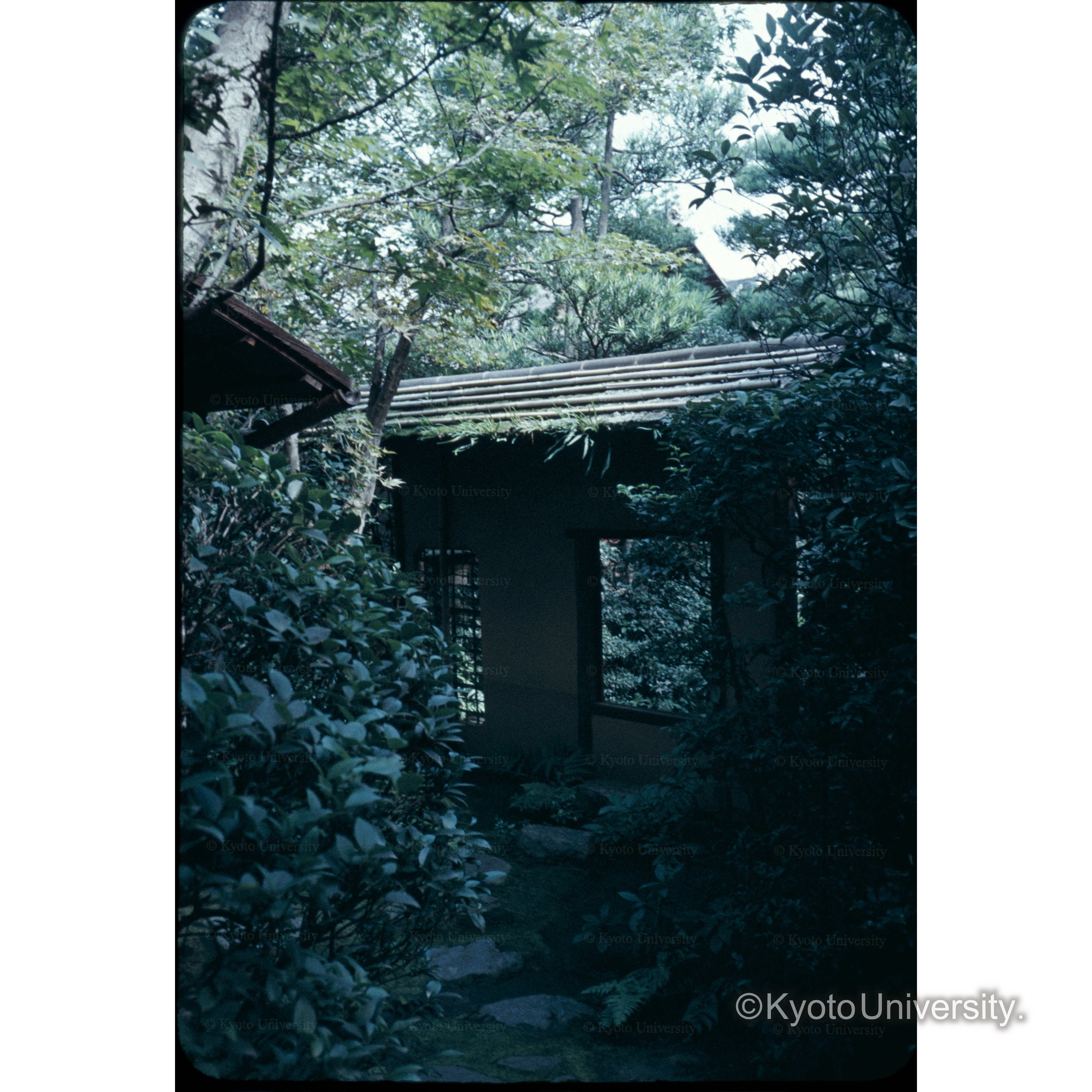 不審庵中潜り (1)