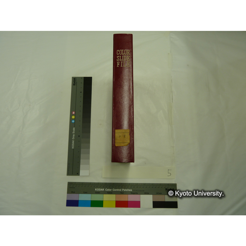 [スライドファイル] 林業 (2)