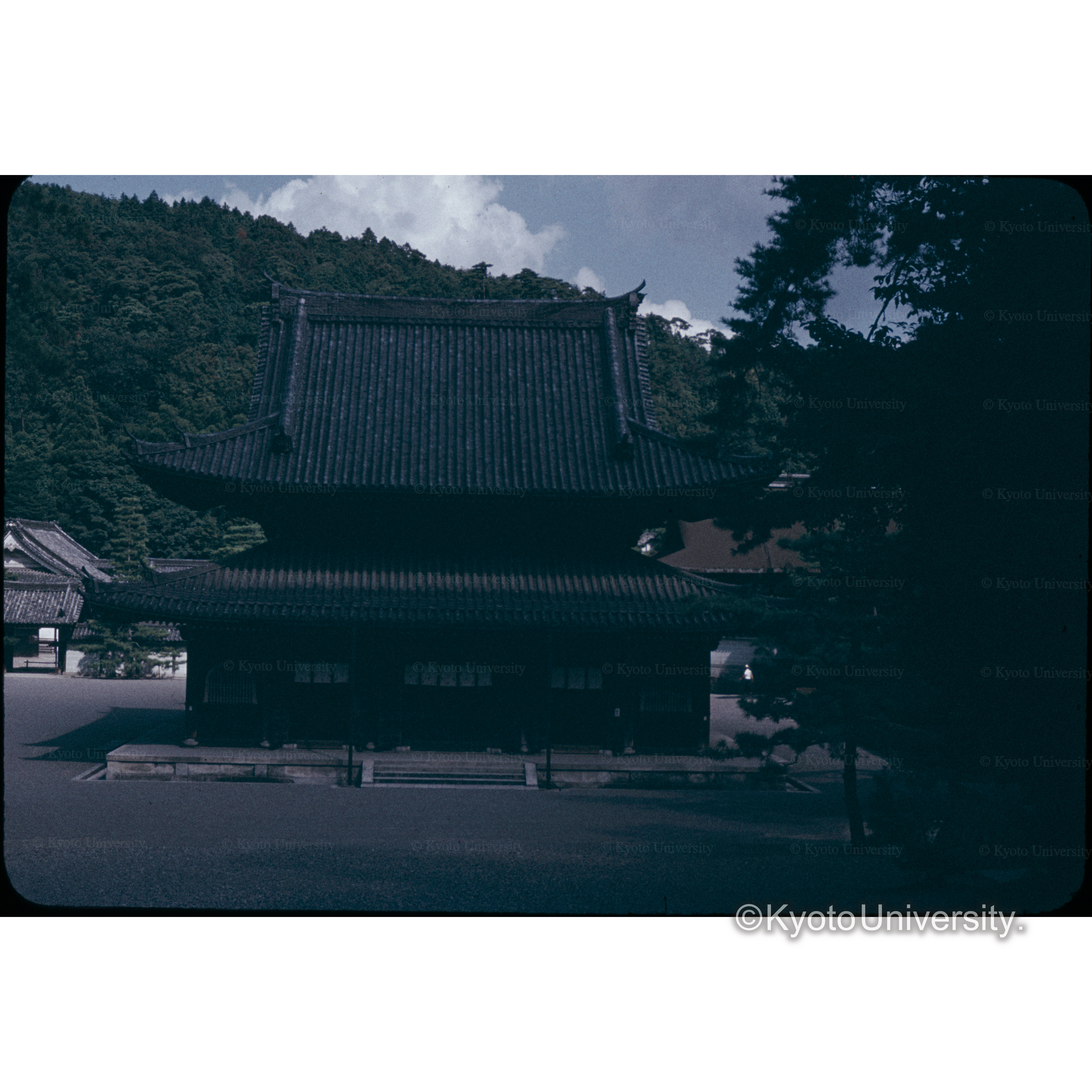 泉涌寺 (1)