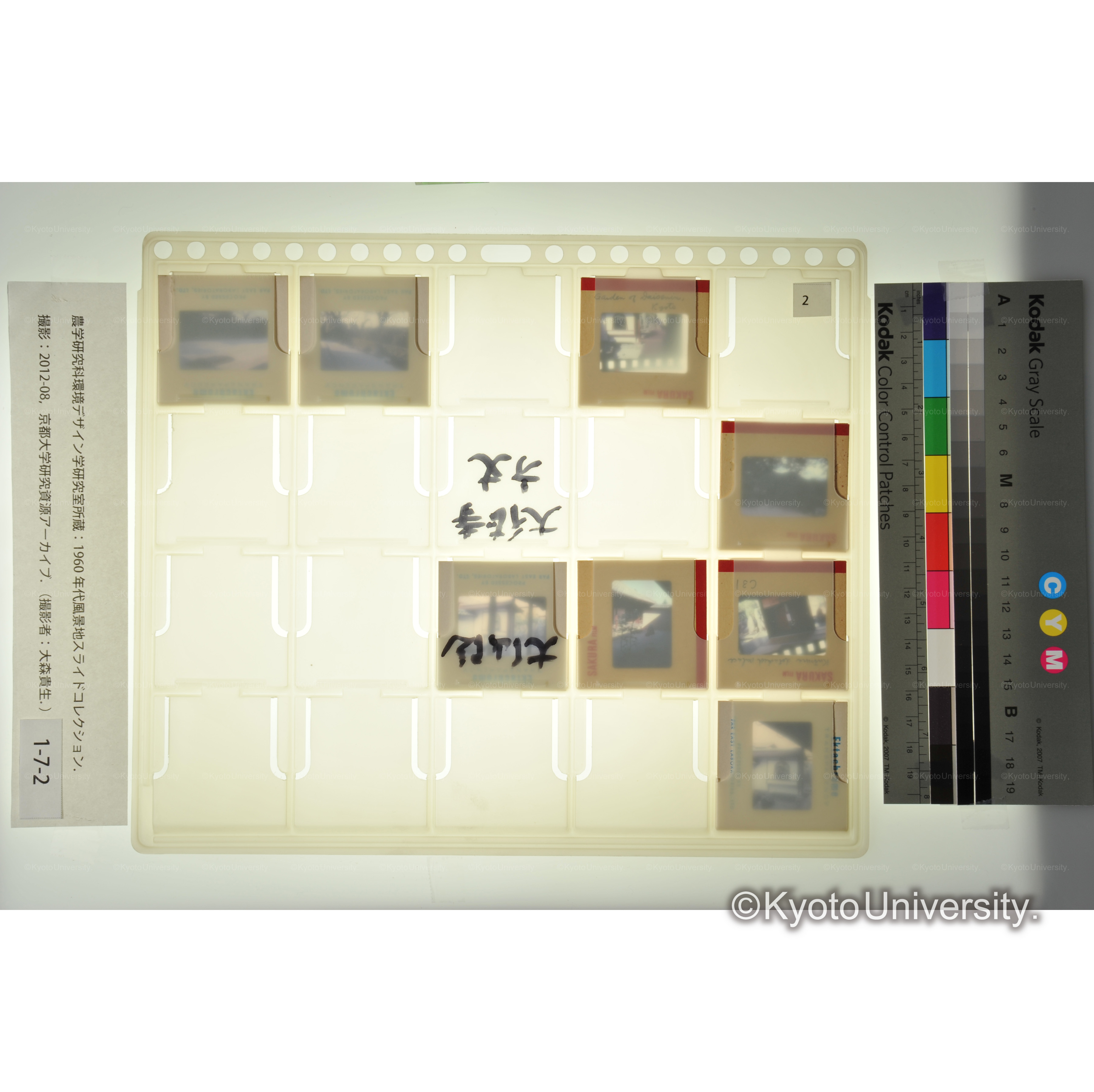 大仙院、大徳寺方丈 (2)