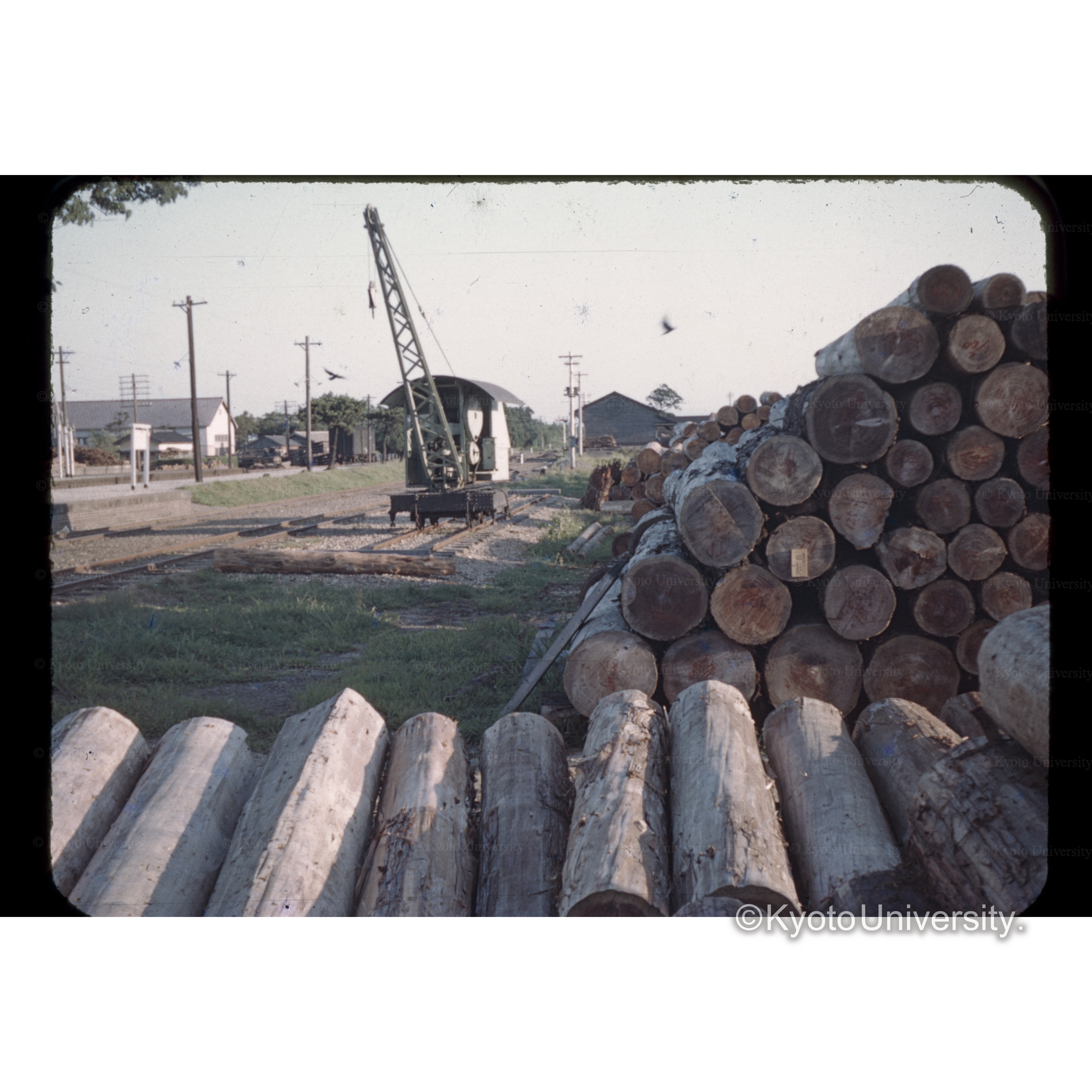 鹿□甲□所前の木材 (1)