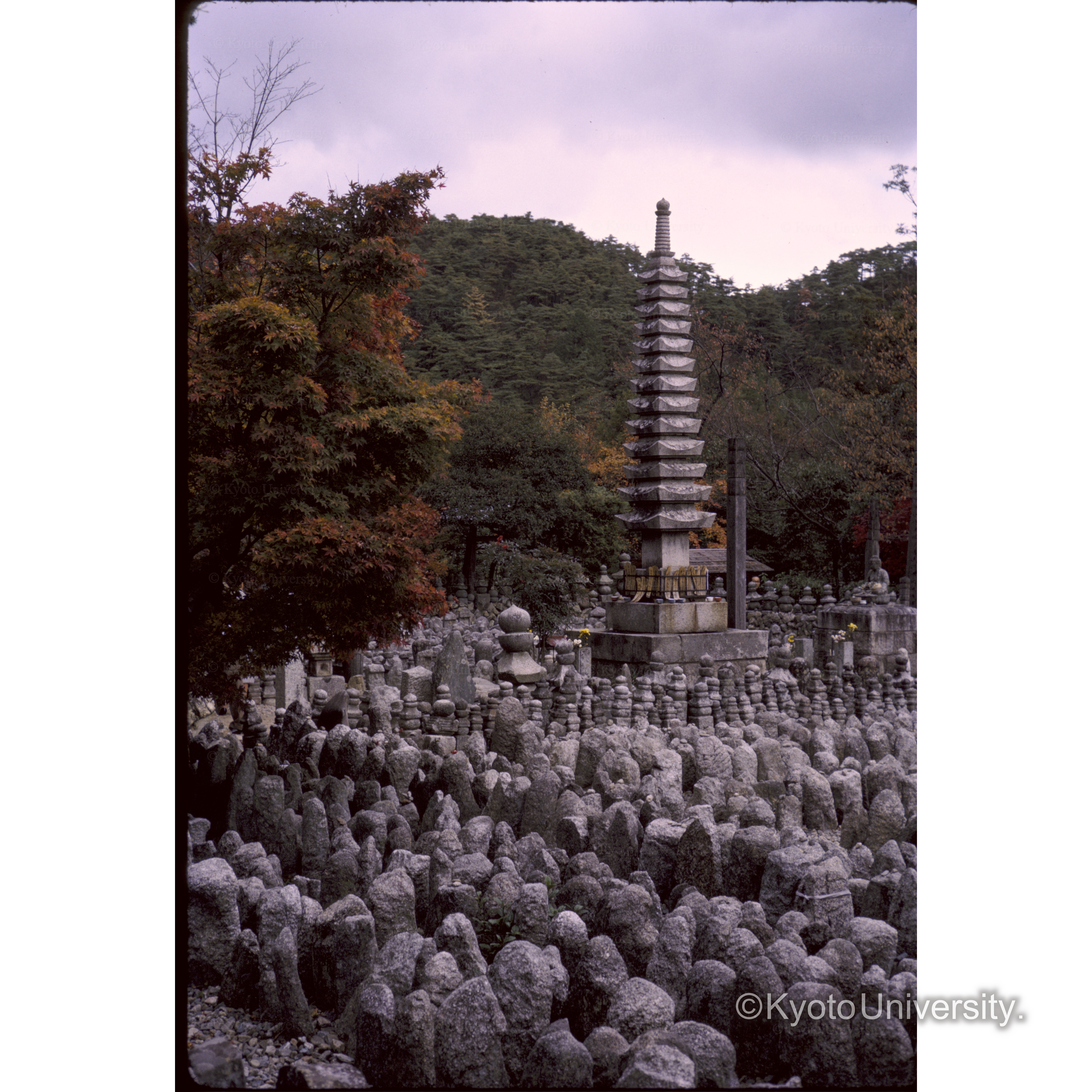 化野念仏寺 (1)