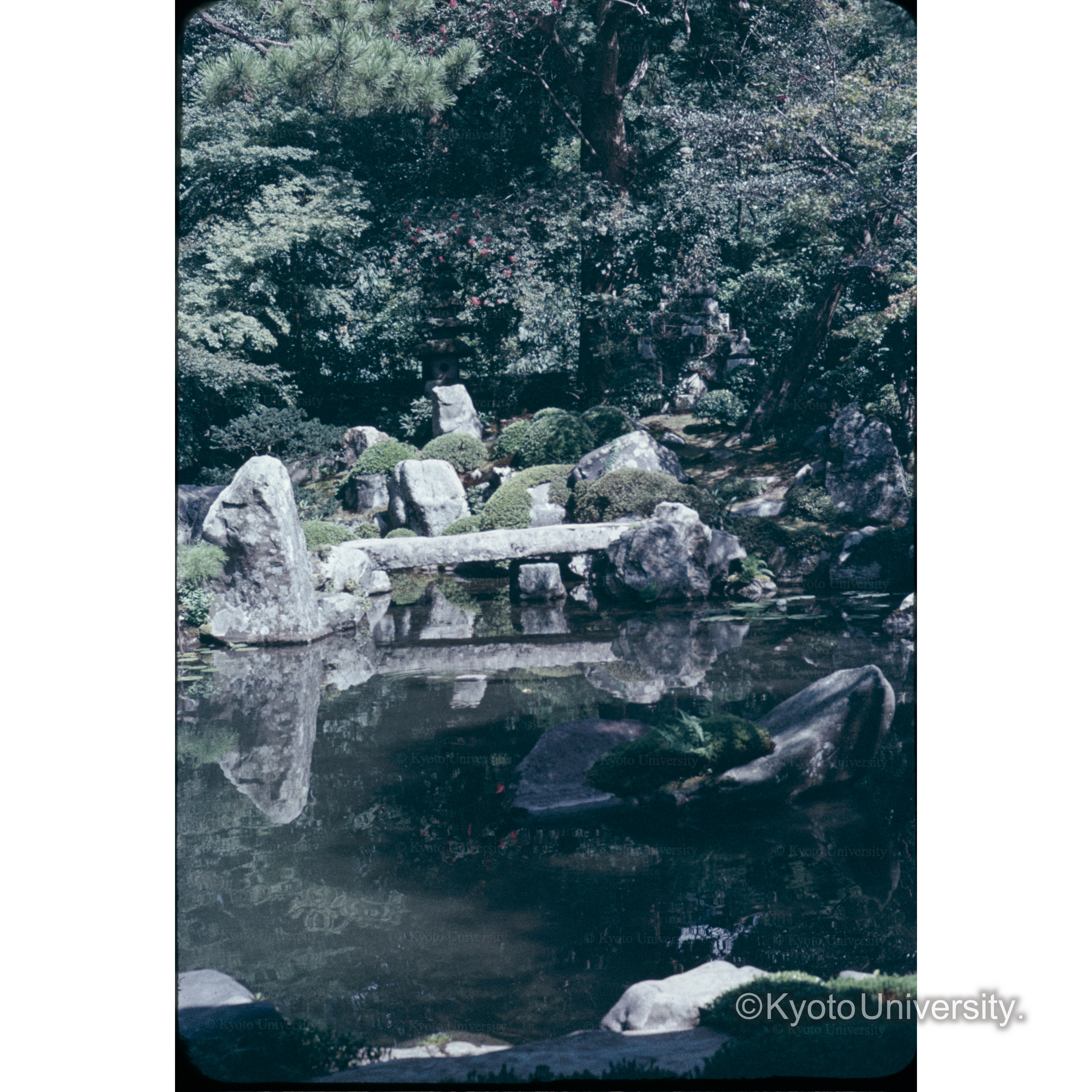 蓮華寺(三宅八幡) (1)