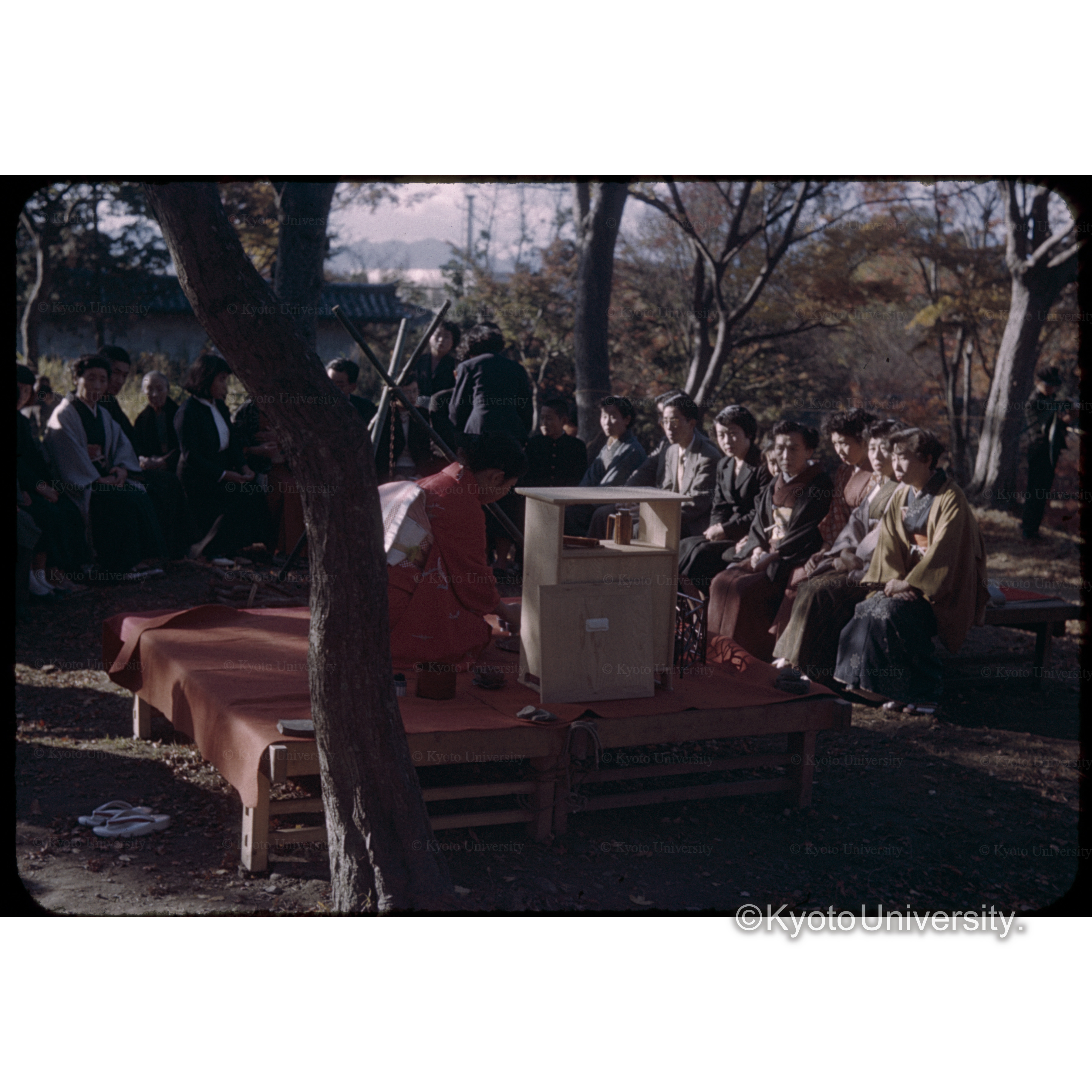 東福寺通天橋 (1)