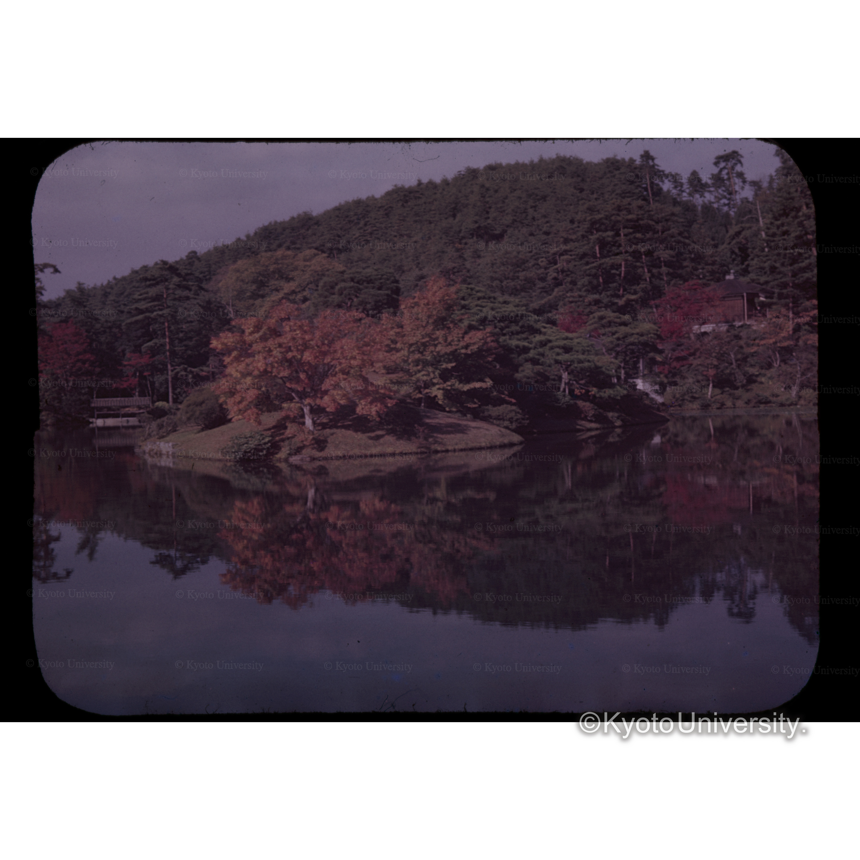 〔庭園の池〕 (1)