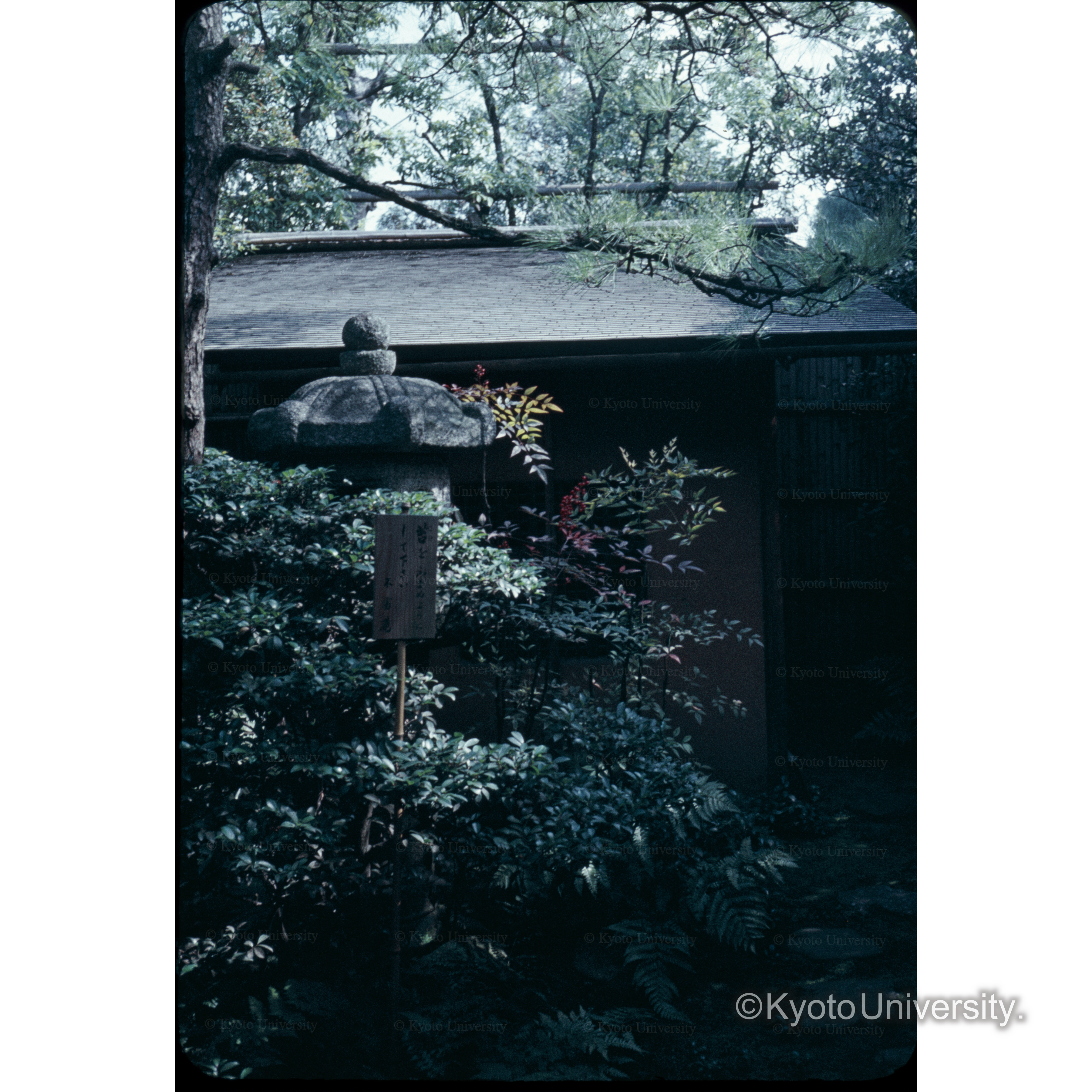 〔中潜り、不審庵〕 (1)