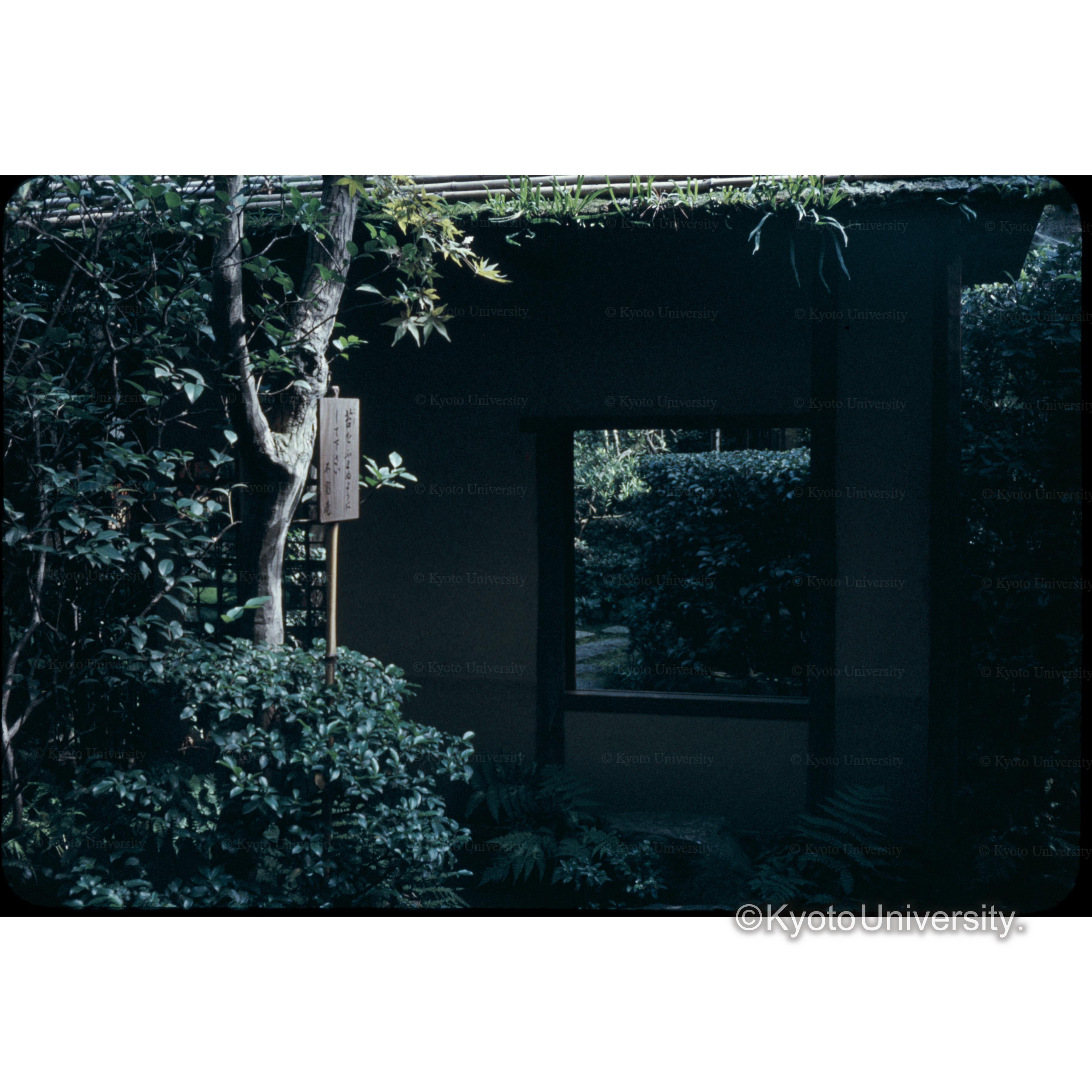 表千家中潜り (1)