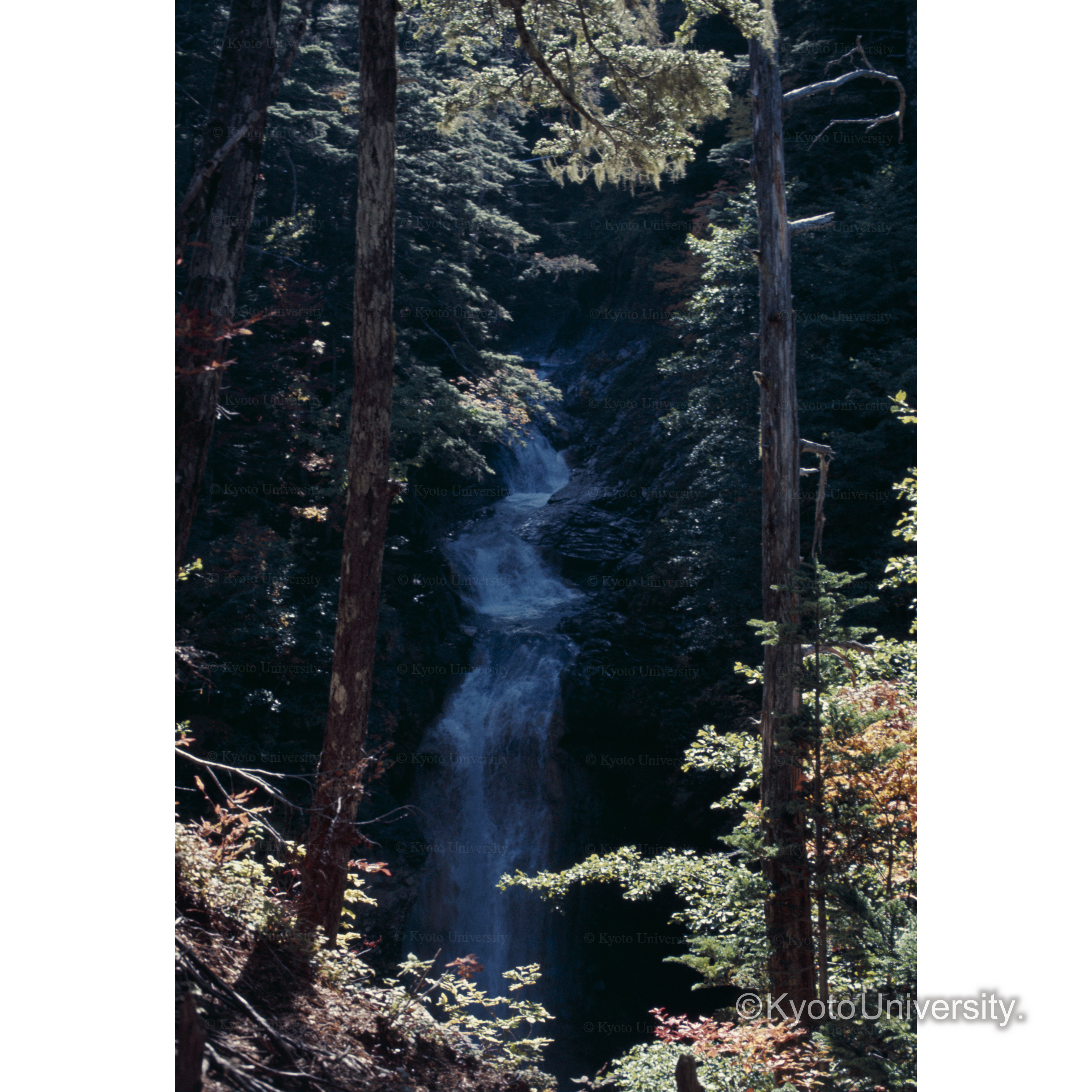 緋の滝（御嶽麓） (1)