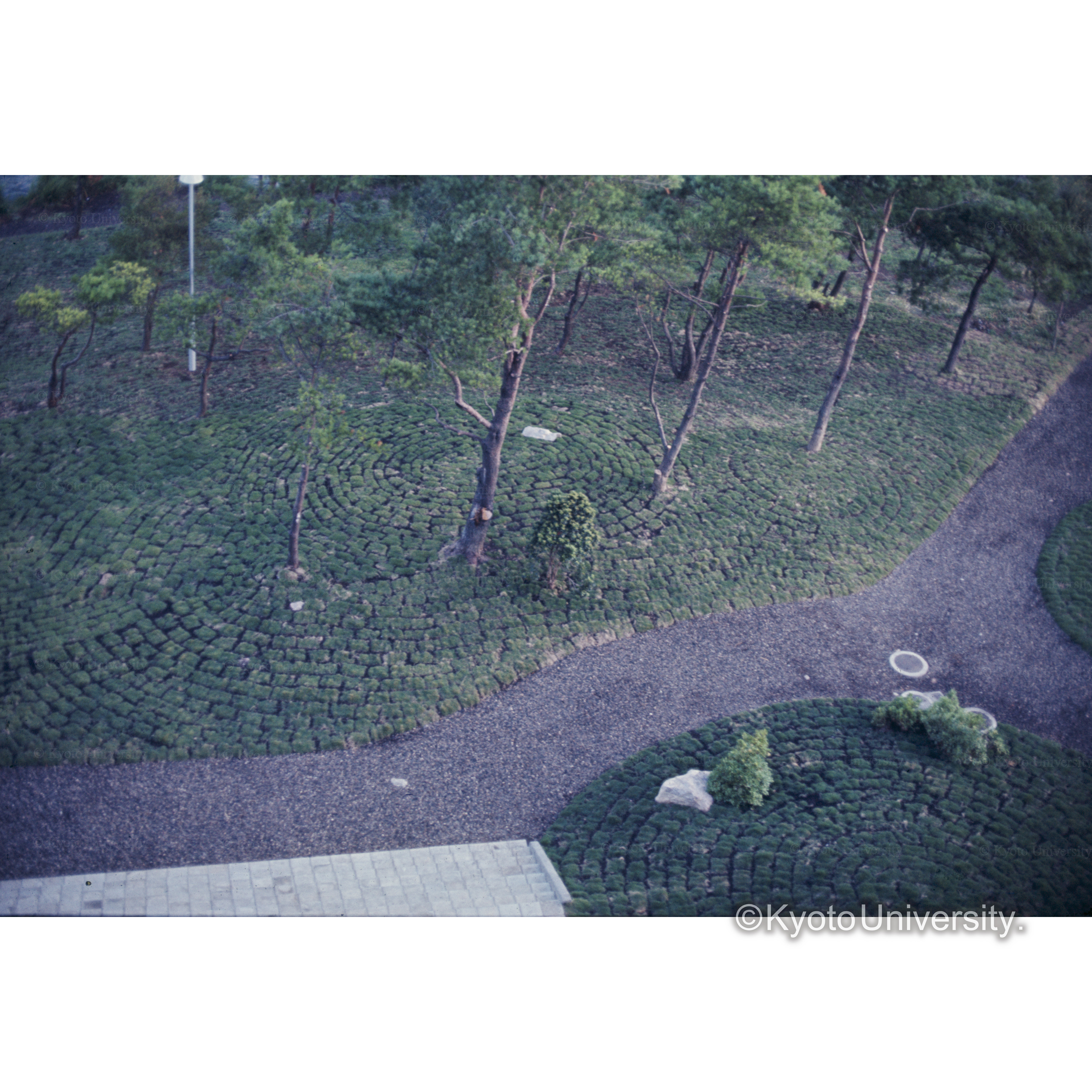 九重レークサイドホテル (1)