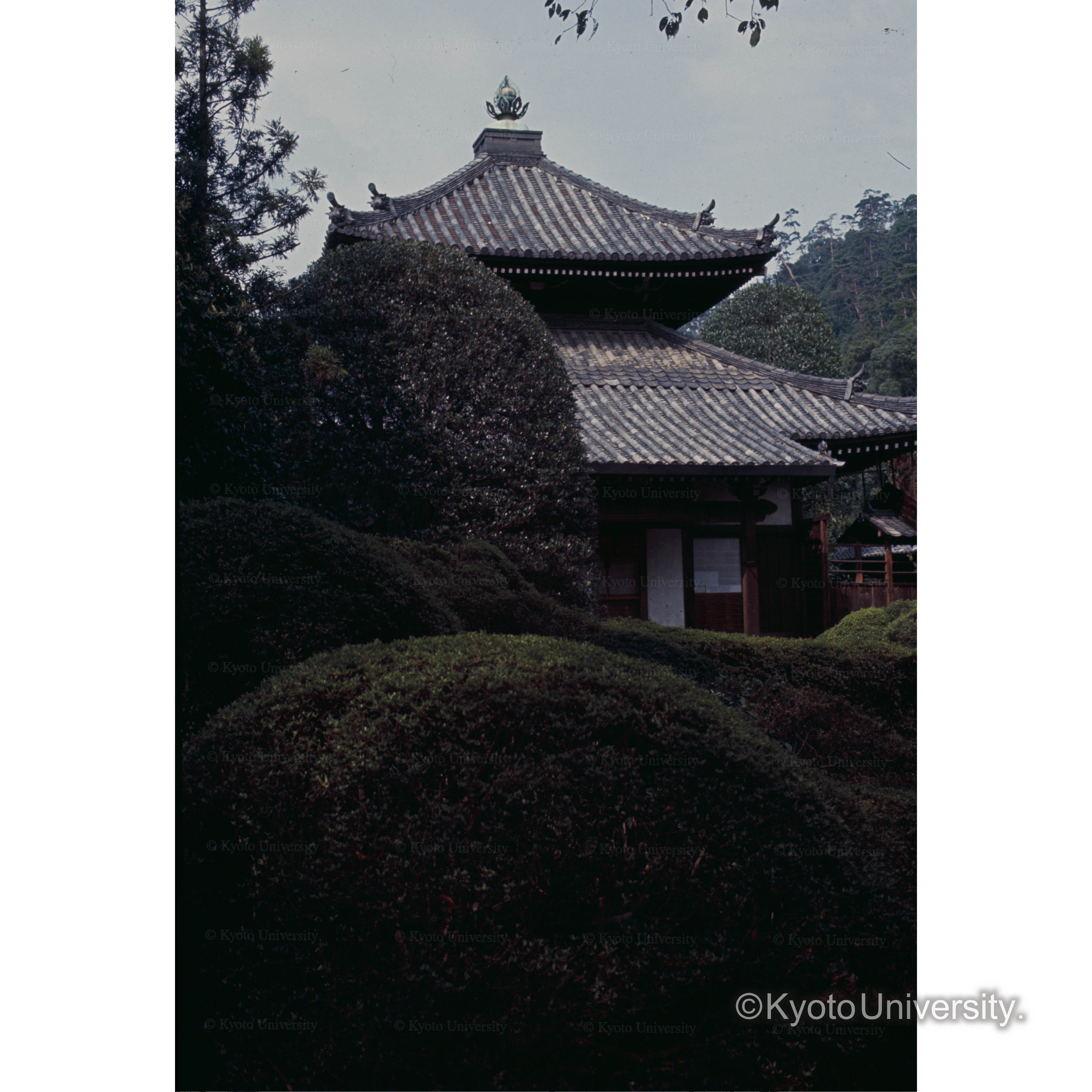 鞍馬寺 (1)