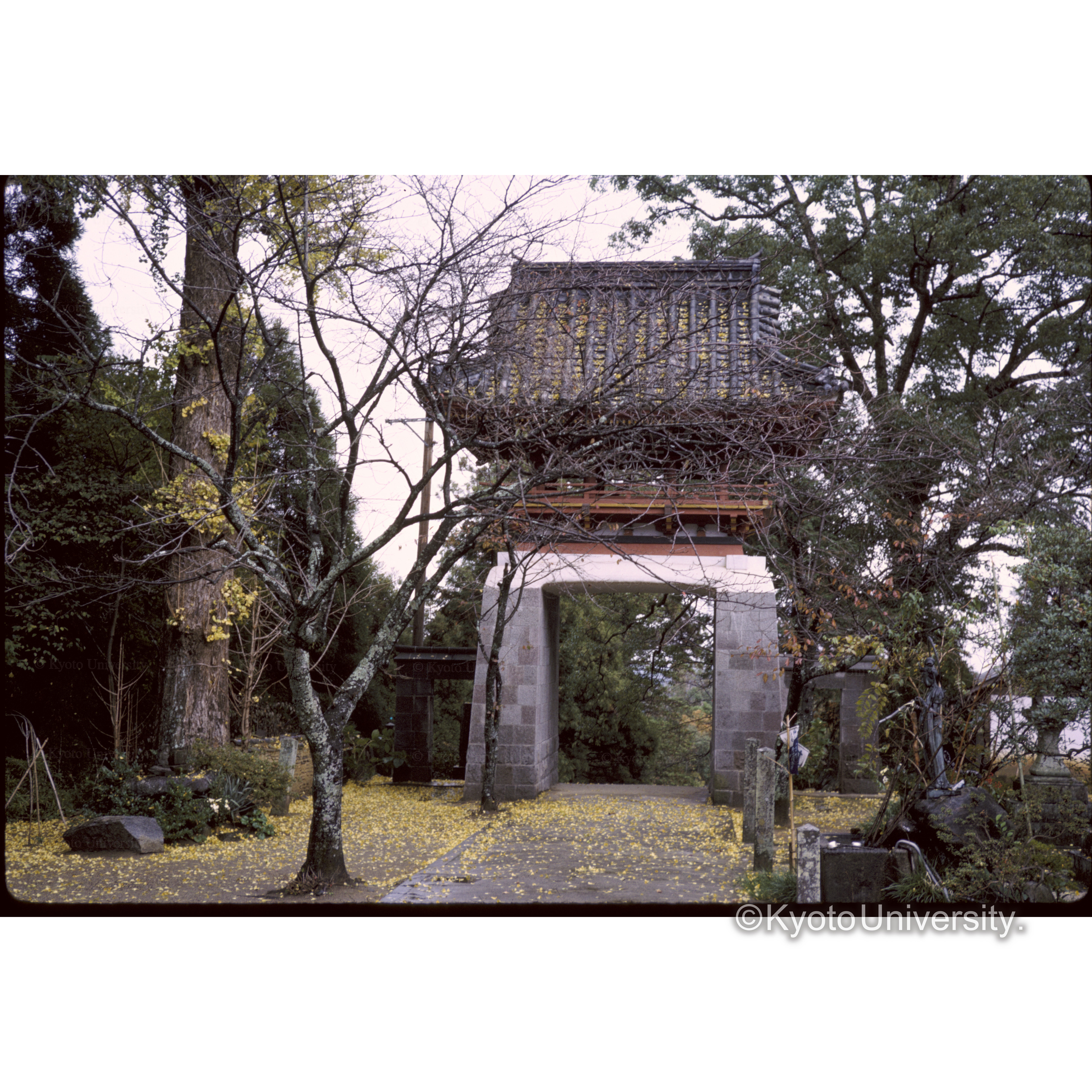 松尾神社(日蓮宗) (1)