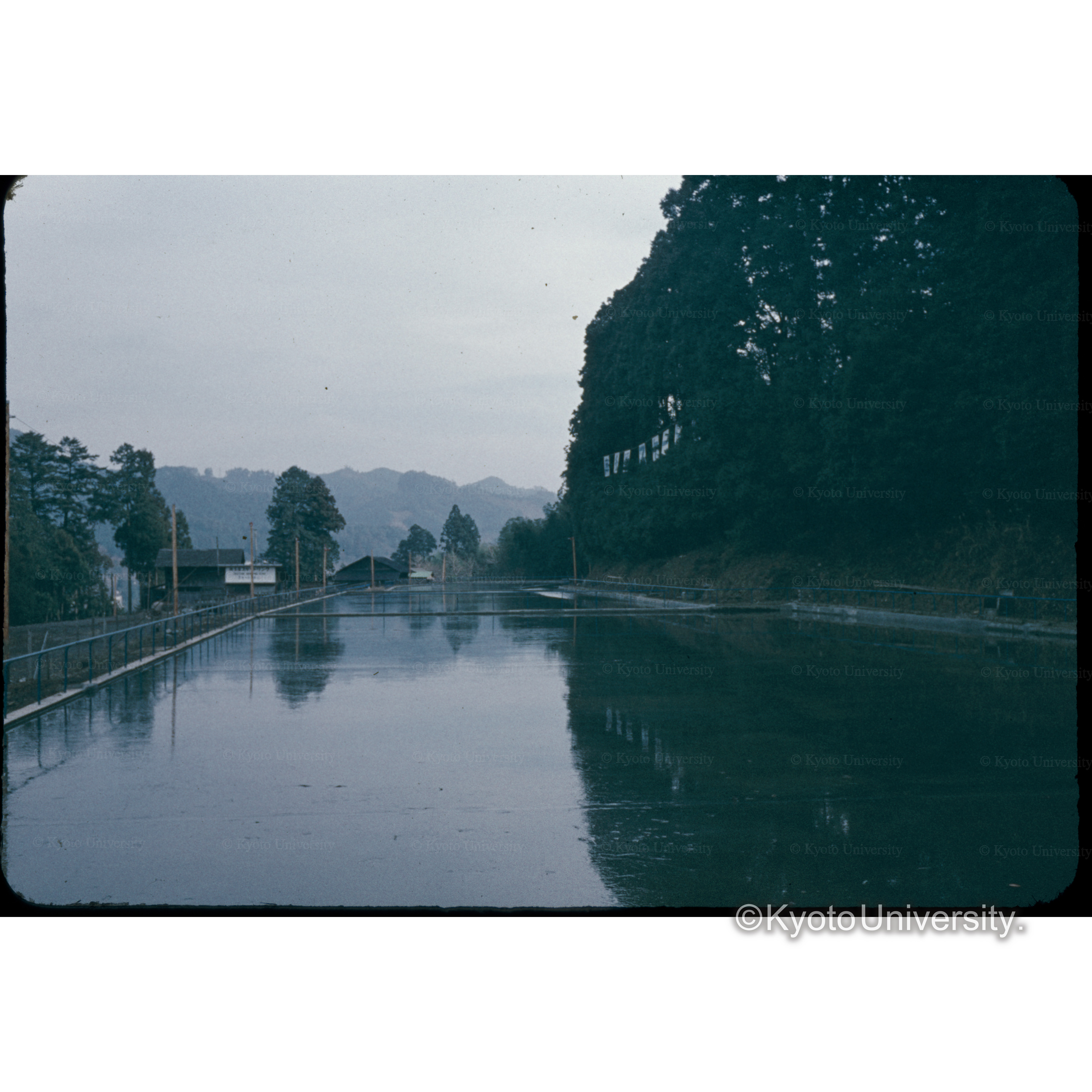 青梅スケート場 (1)