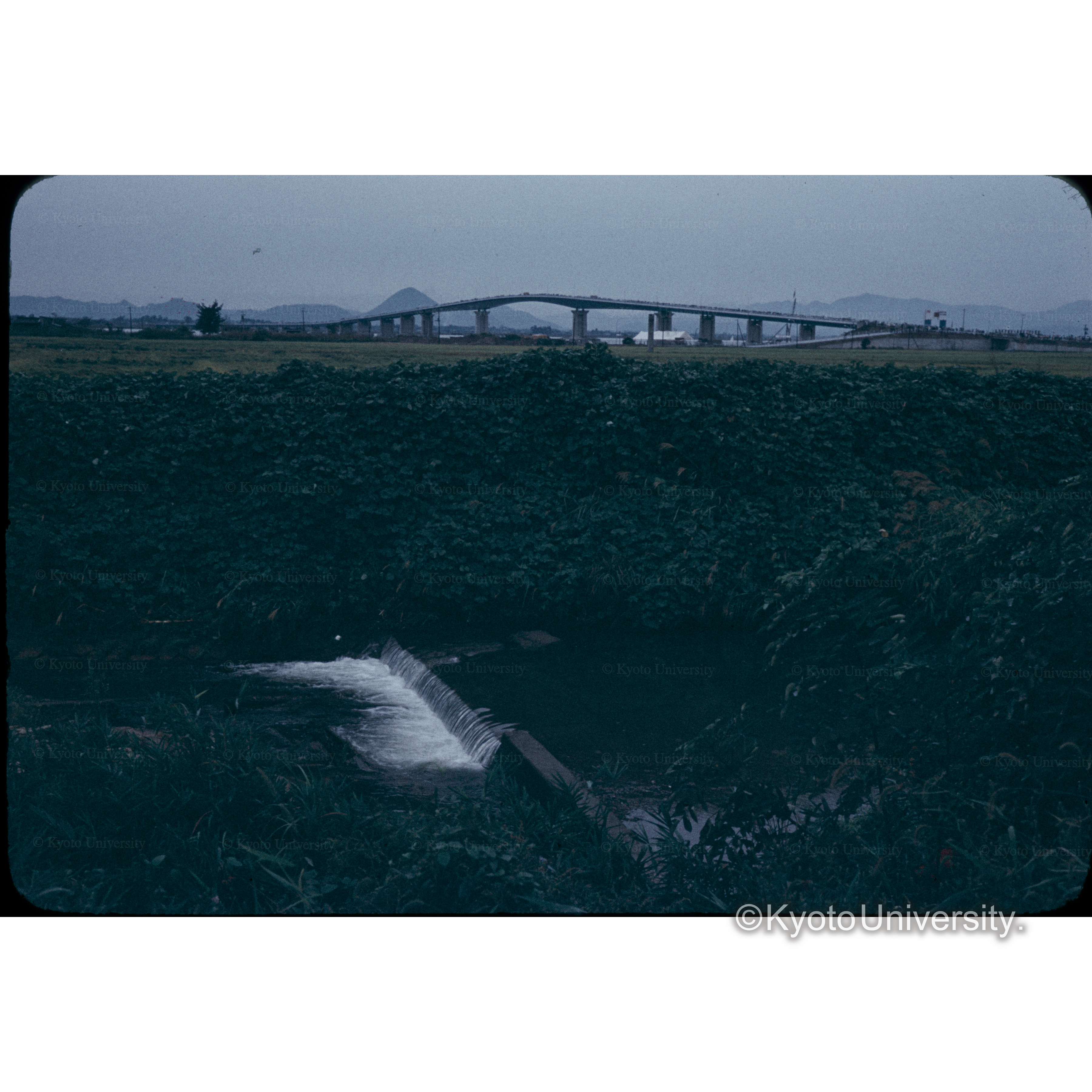 ビワ湖大橋開通日 (1)