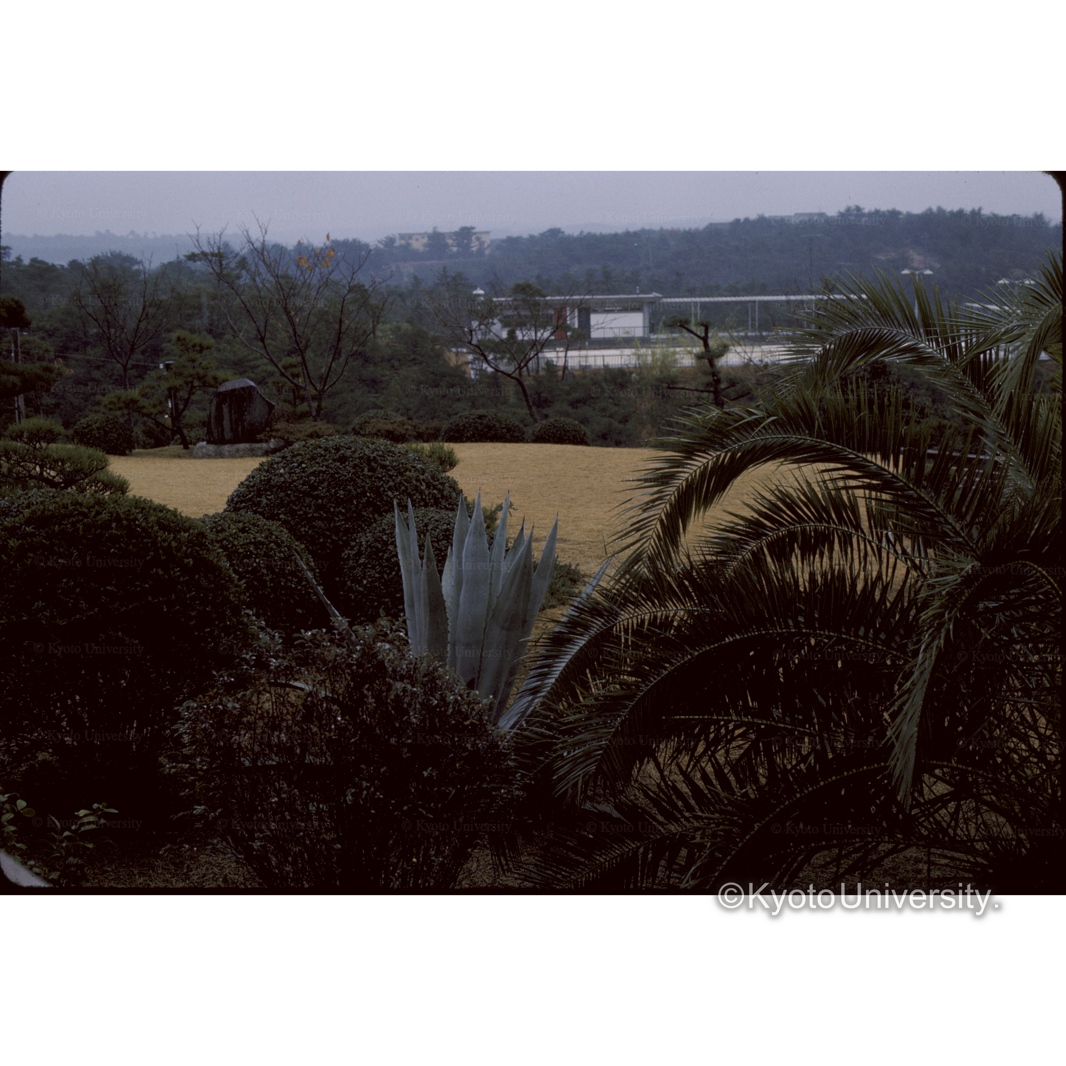 賢島観光ホテル (1)