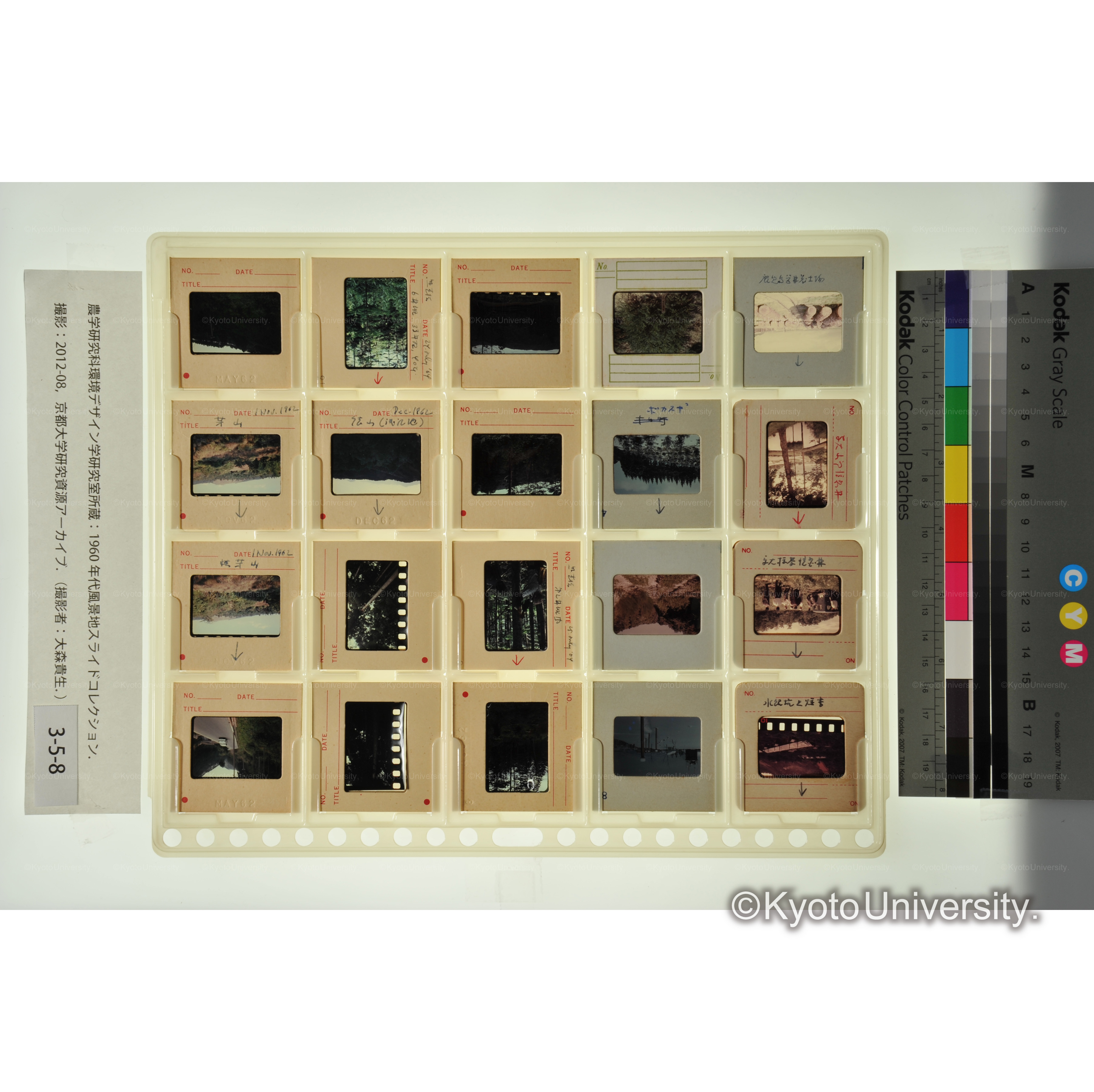 〔京大演習林、水銀坑、山林〕 (1)