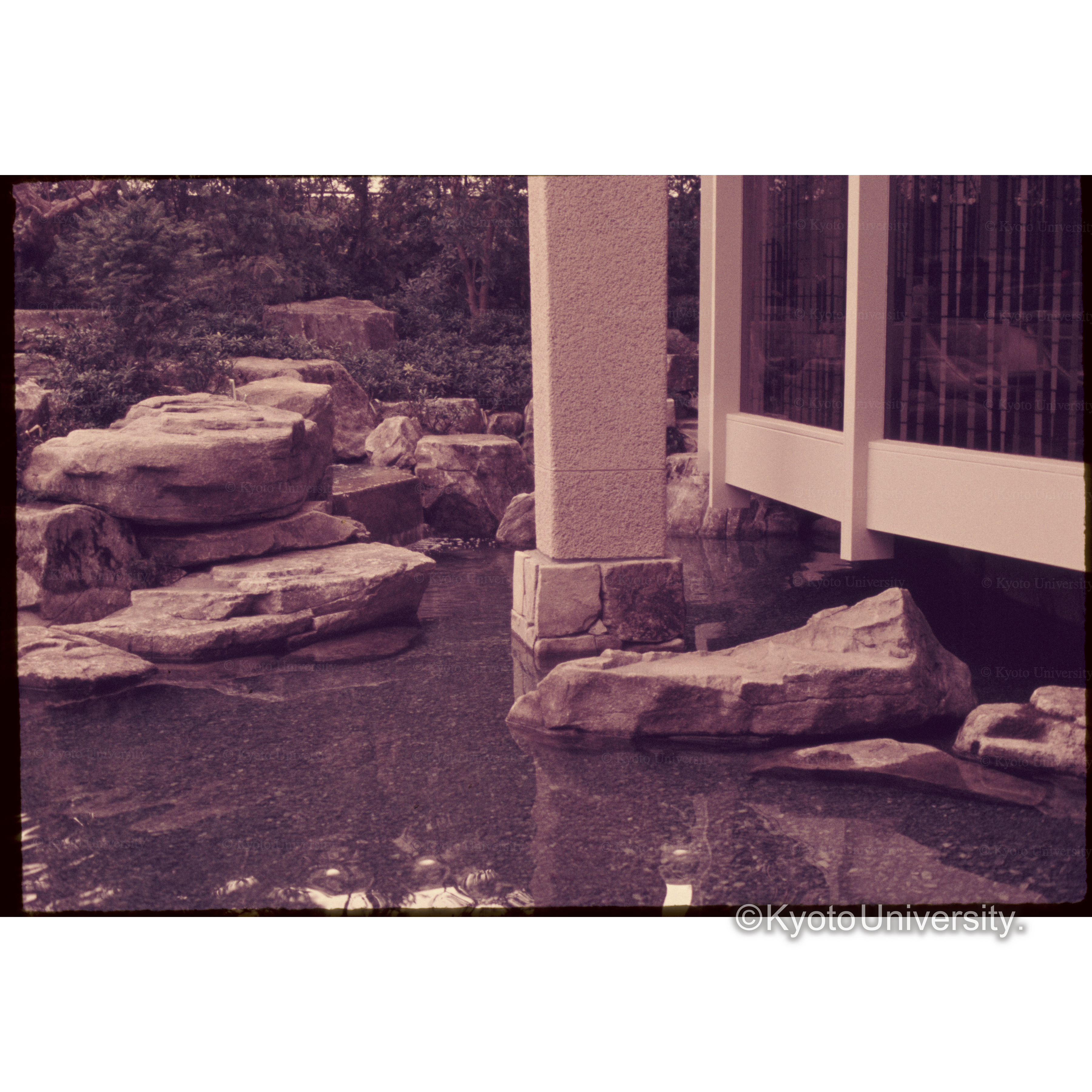 大阪Royal Hotel (1)