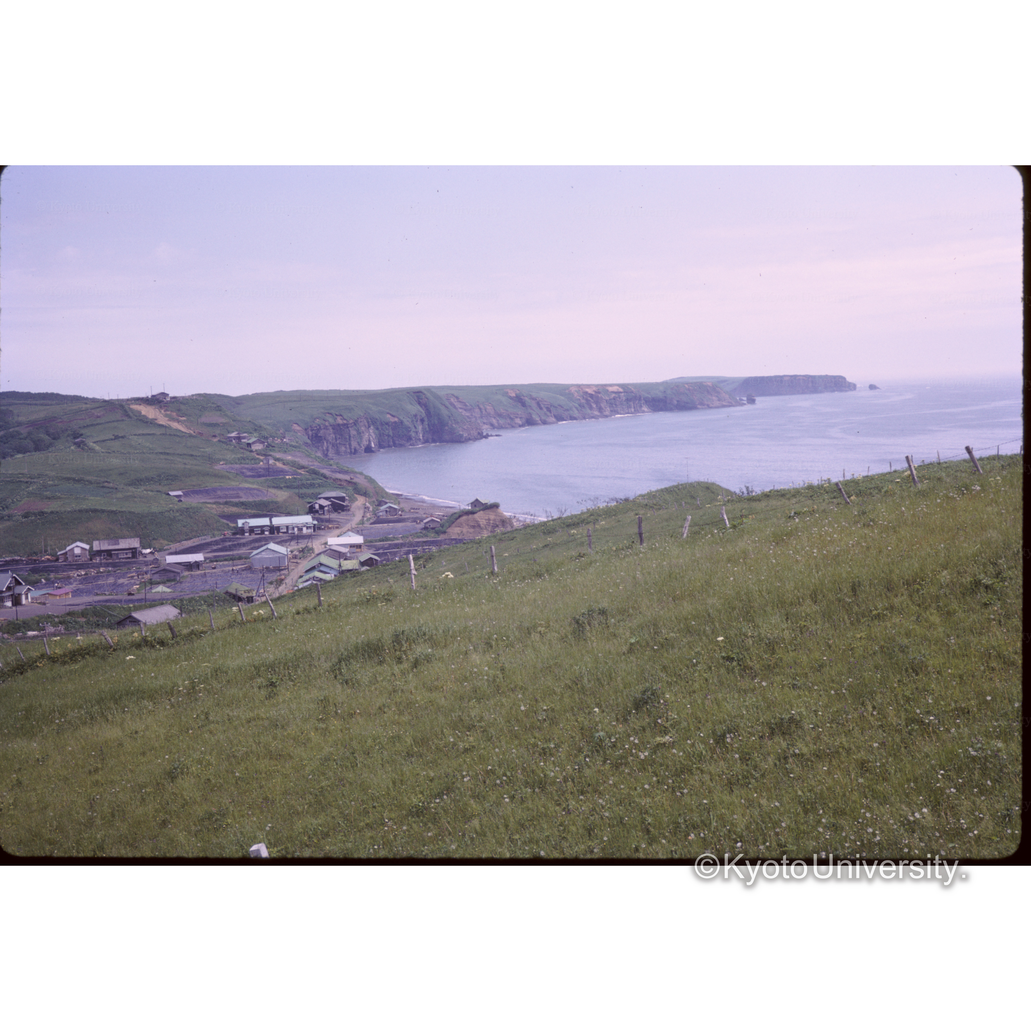 浜中キリタップの湿原 (1)