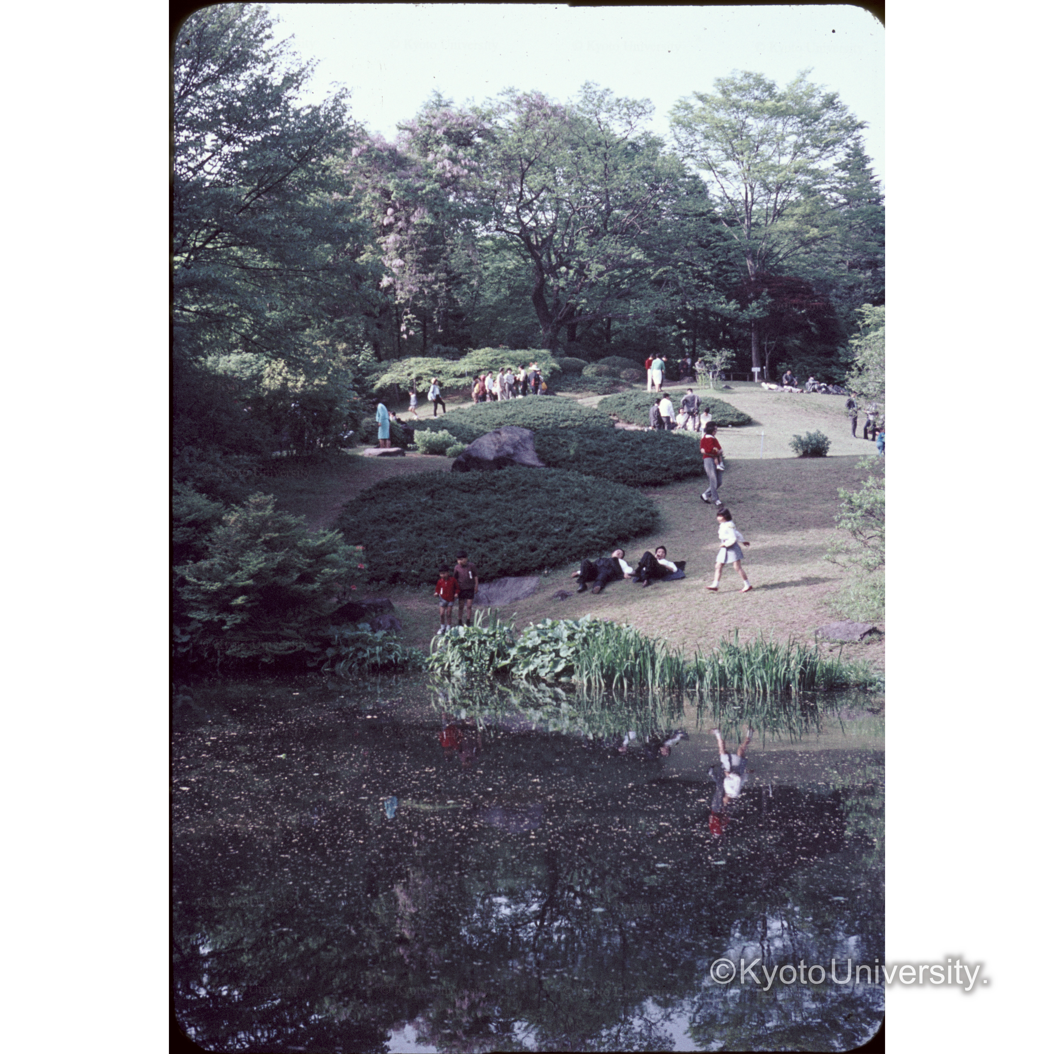 東大植物園(日光) (1)