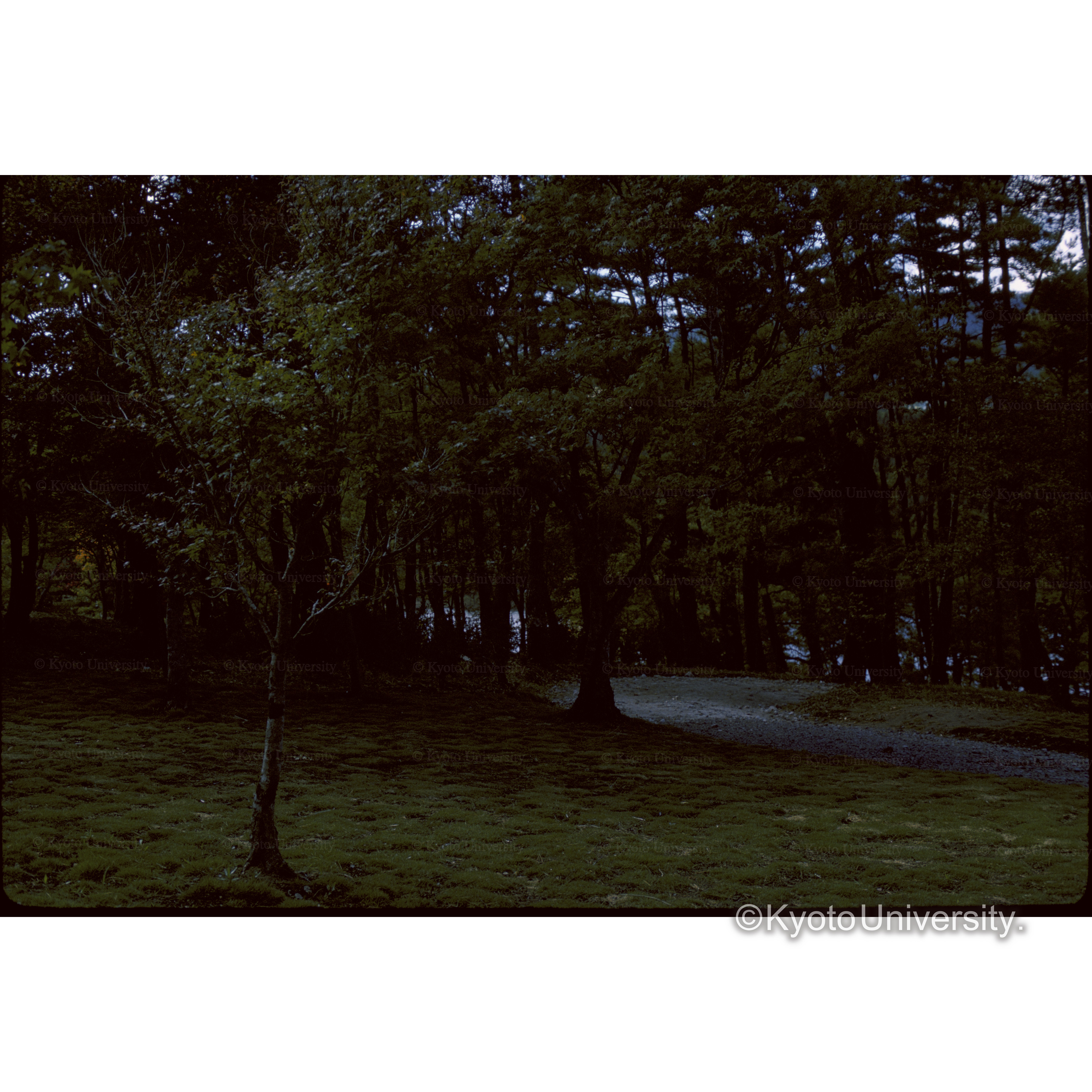 出島(レークサイドホテル)？ (1)