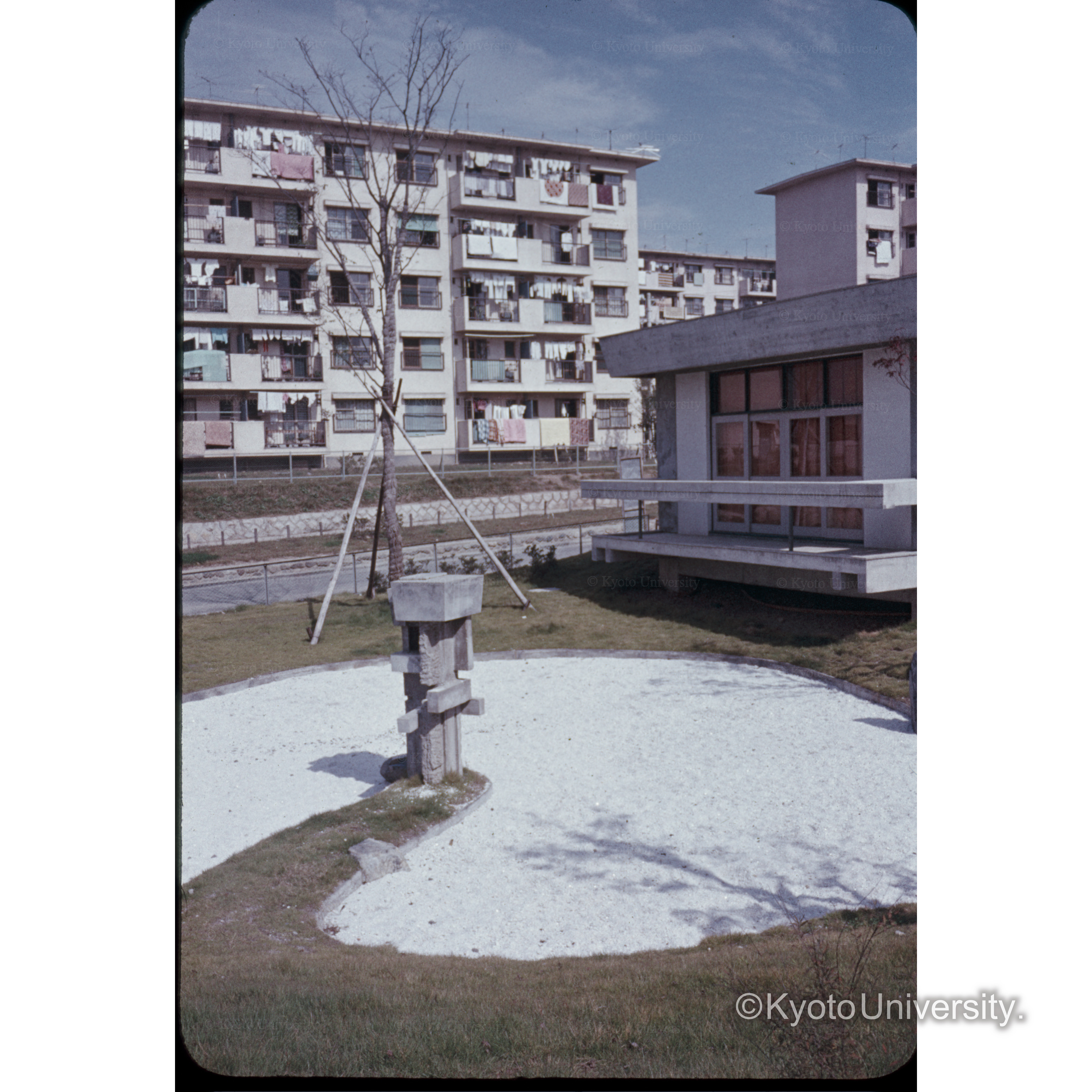 観月橋団地庭 (1)