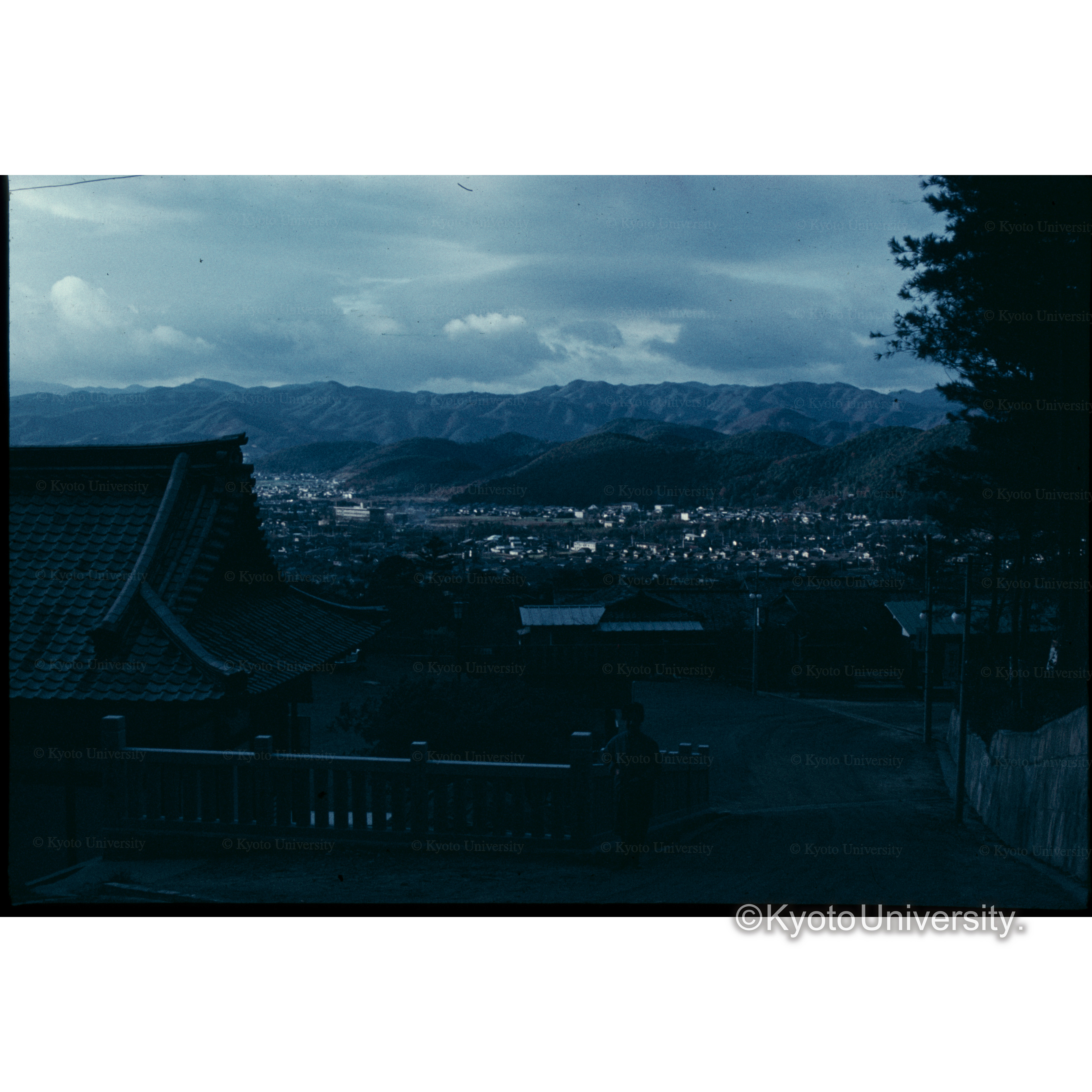 狸谷より街をみる (1)