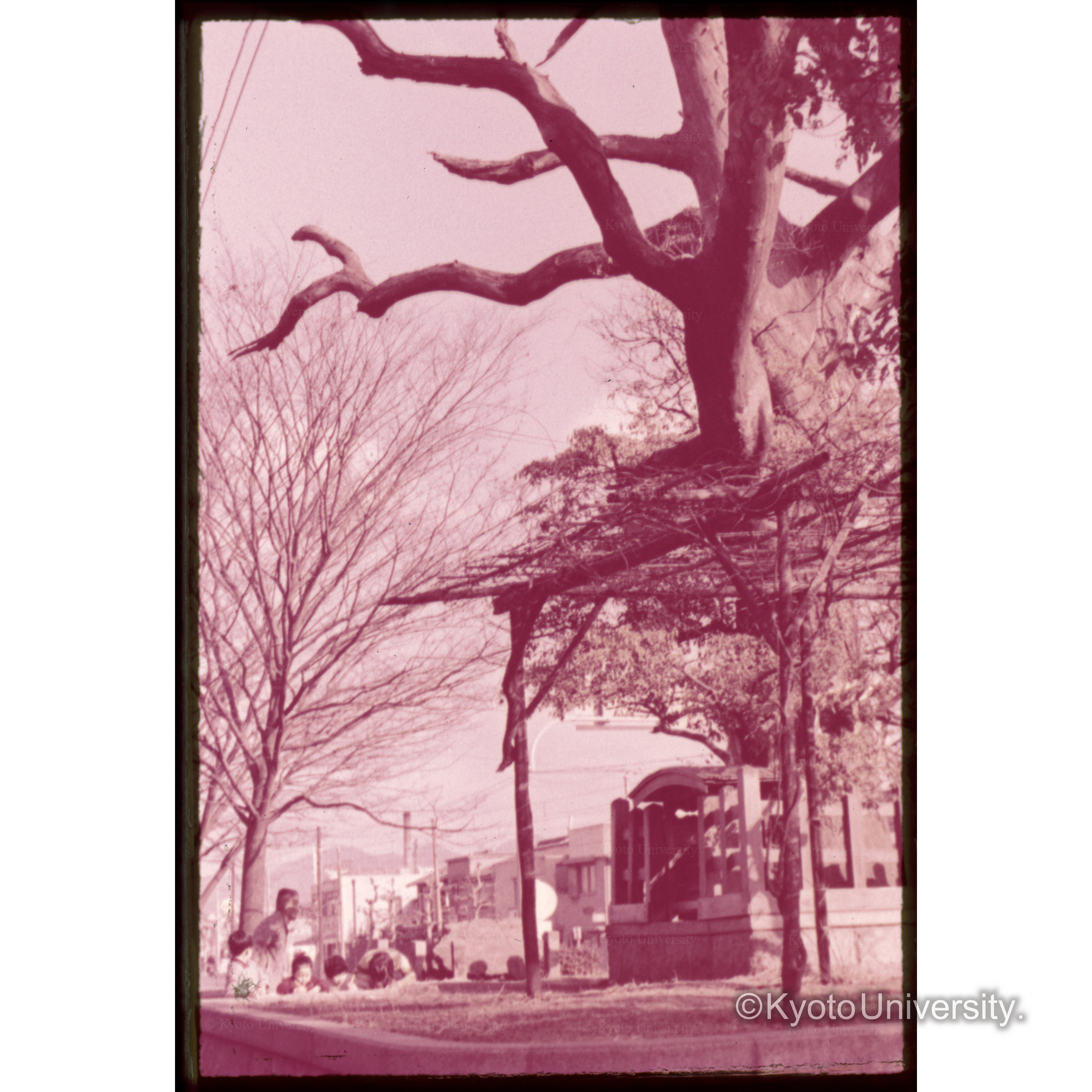 西大路八條□□□□□ (1)