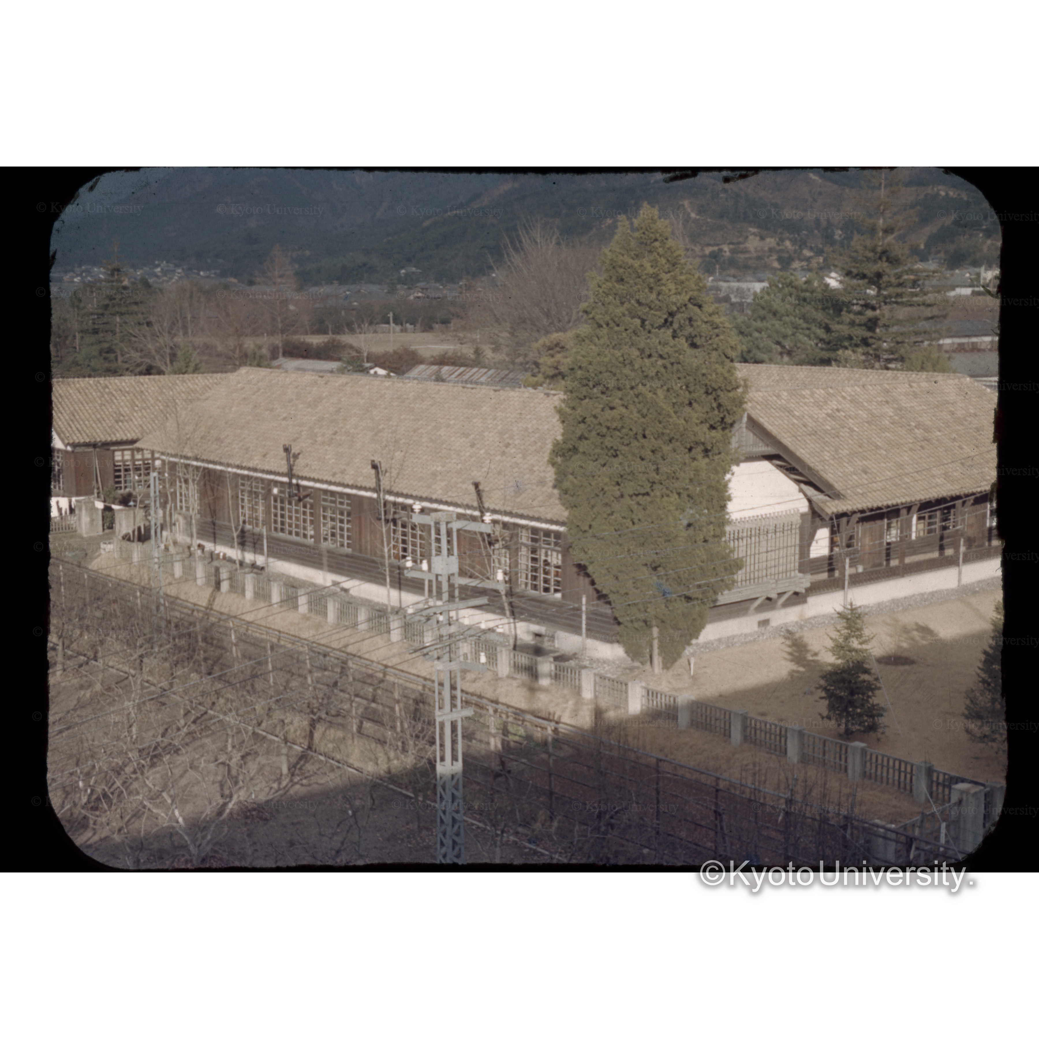 農学部屋上より演習林 (1)