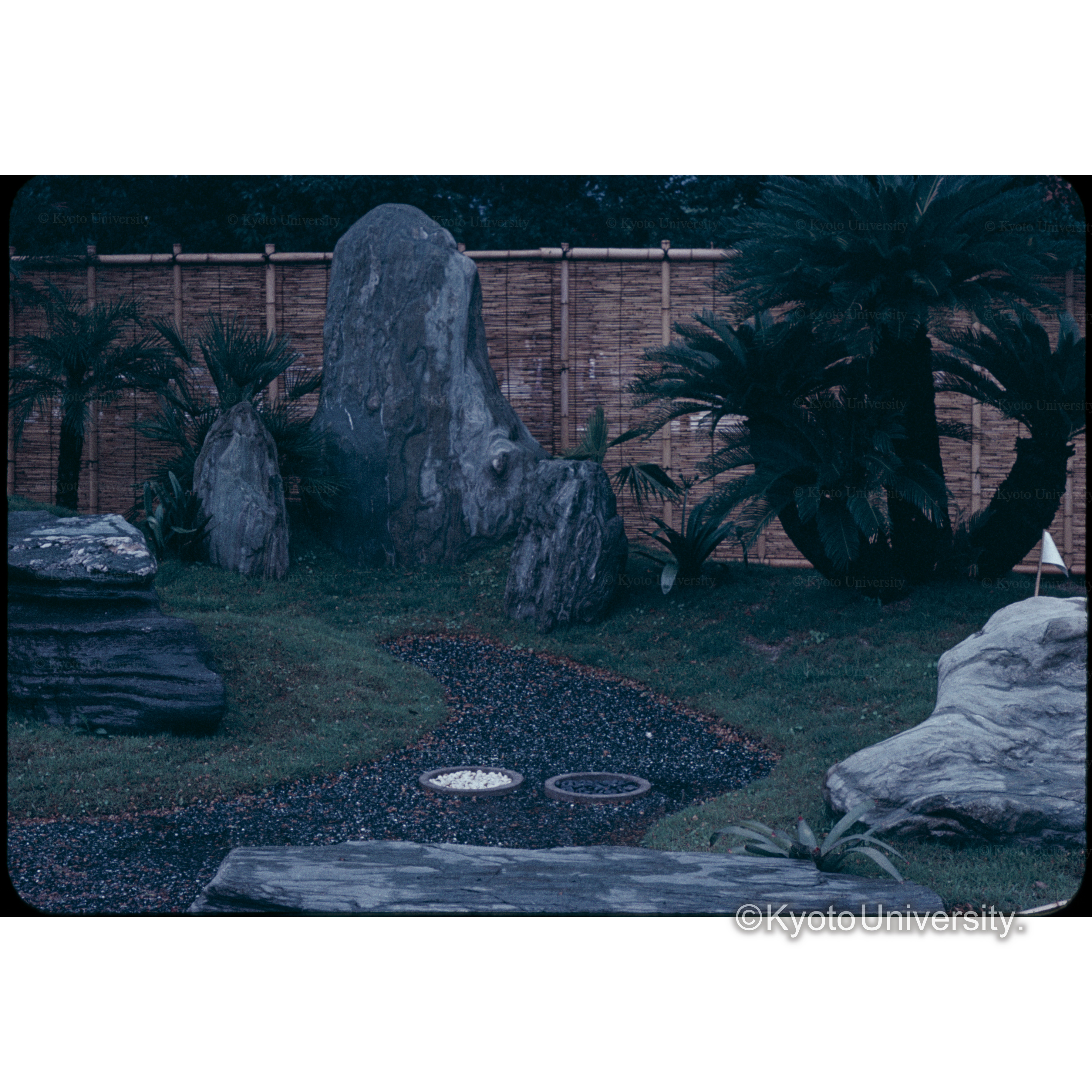 茨木春草園(京都庭園展) (1)