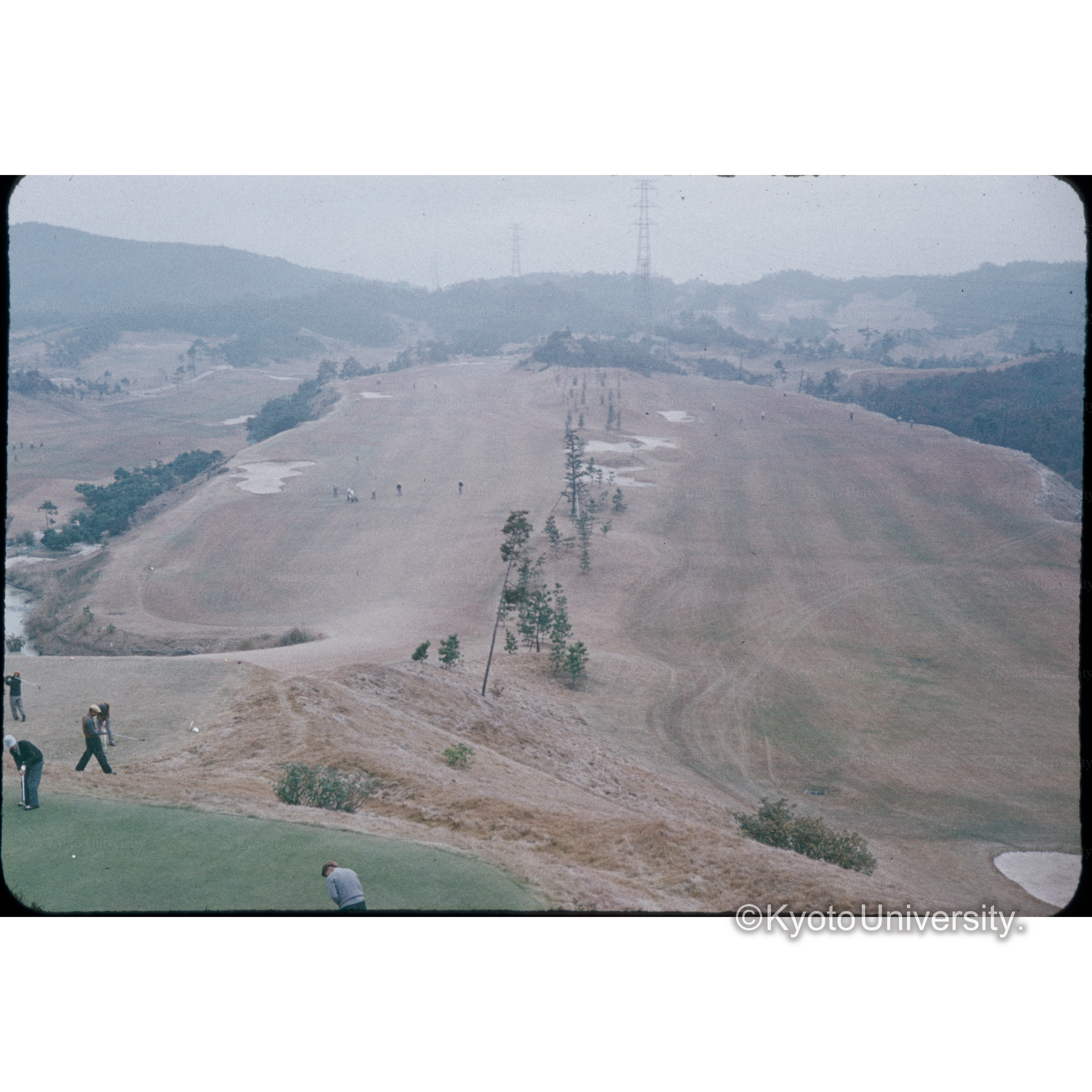 田辺ゴルフ・リンク (1)