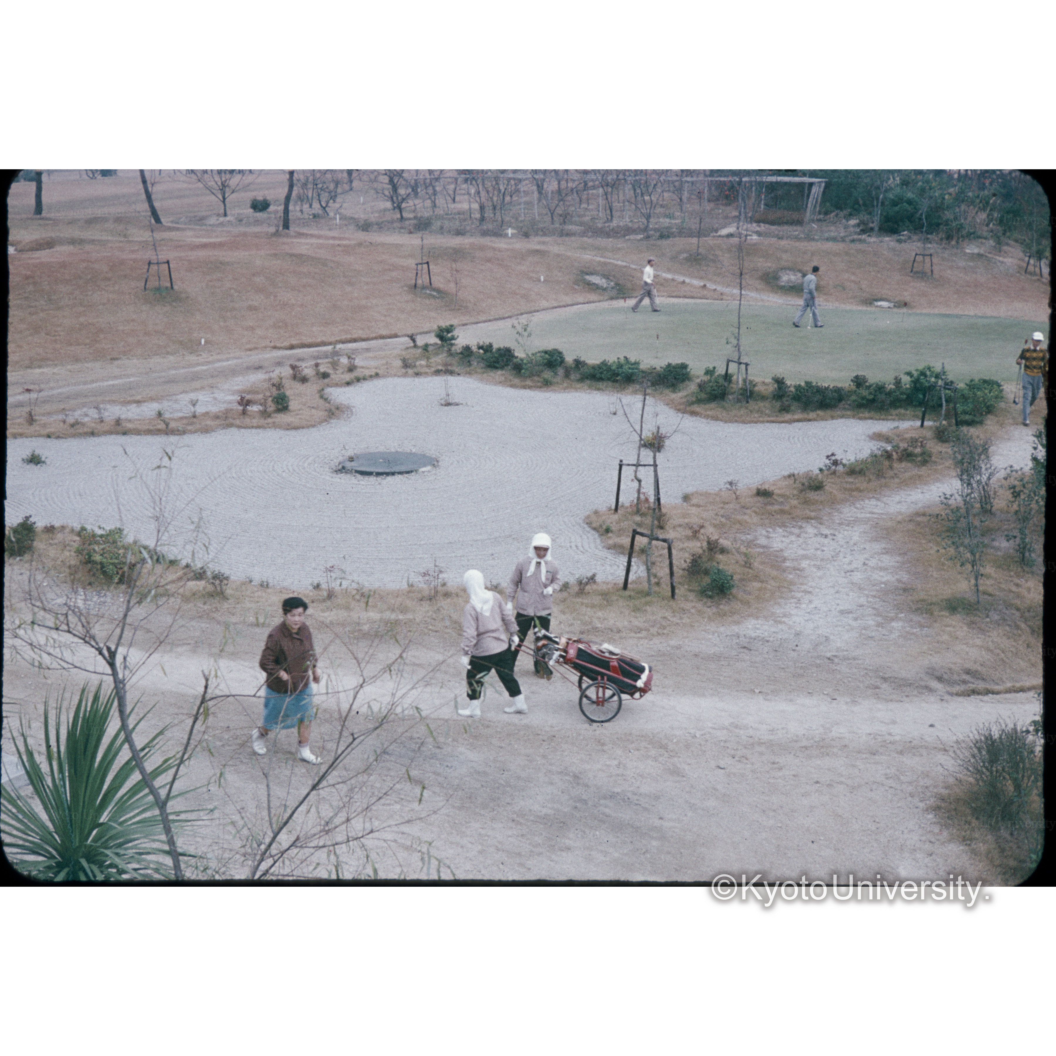 田辺ゴルフ・リンク (1)