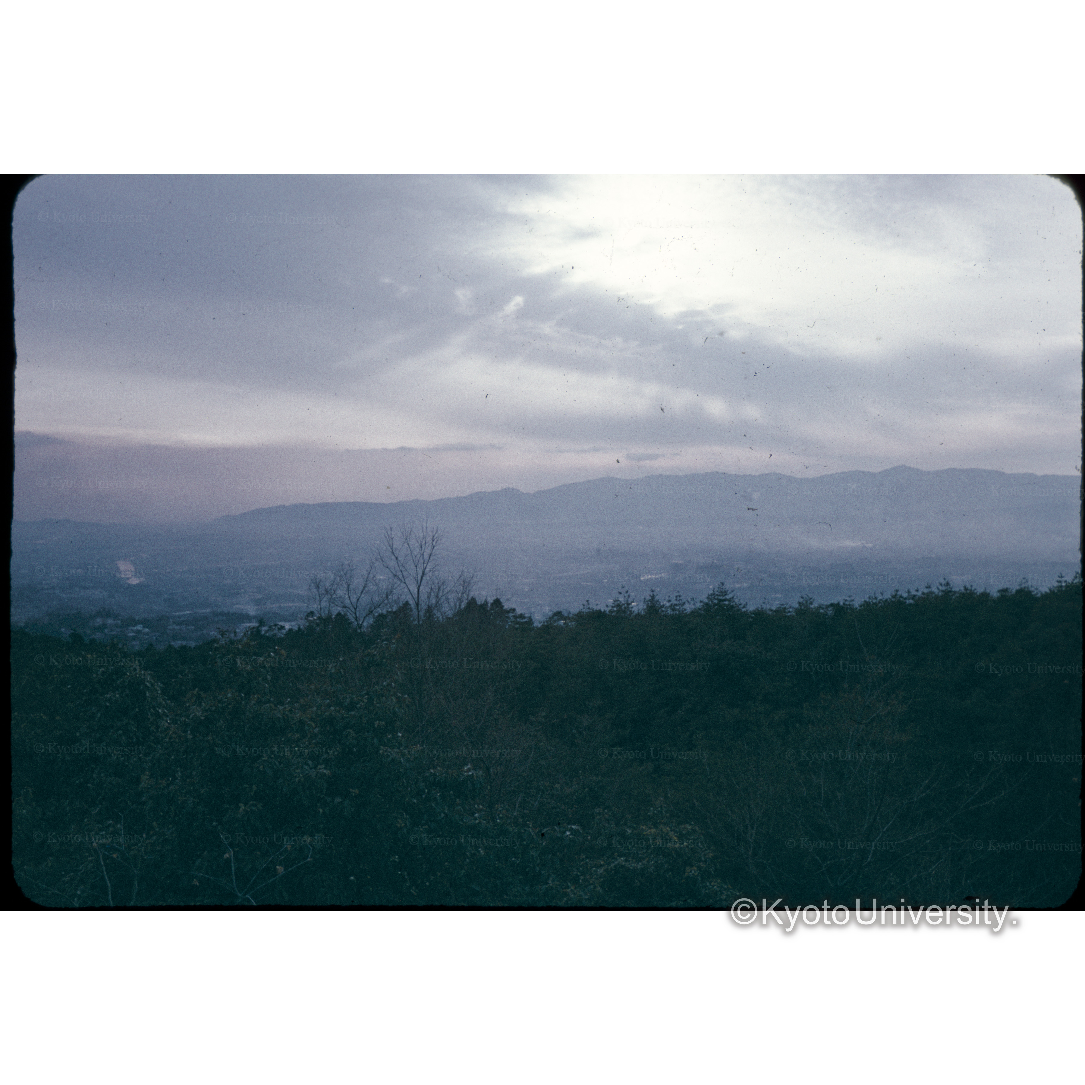 東山ドライブウエー (1)