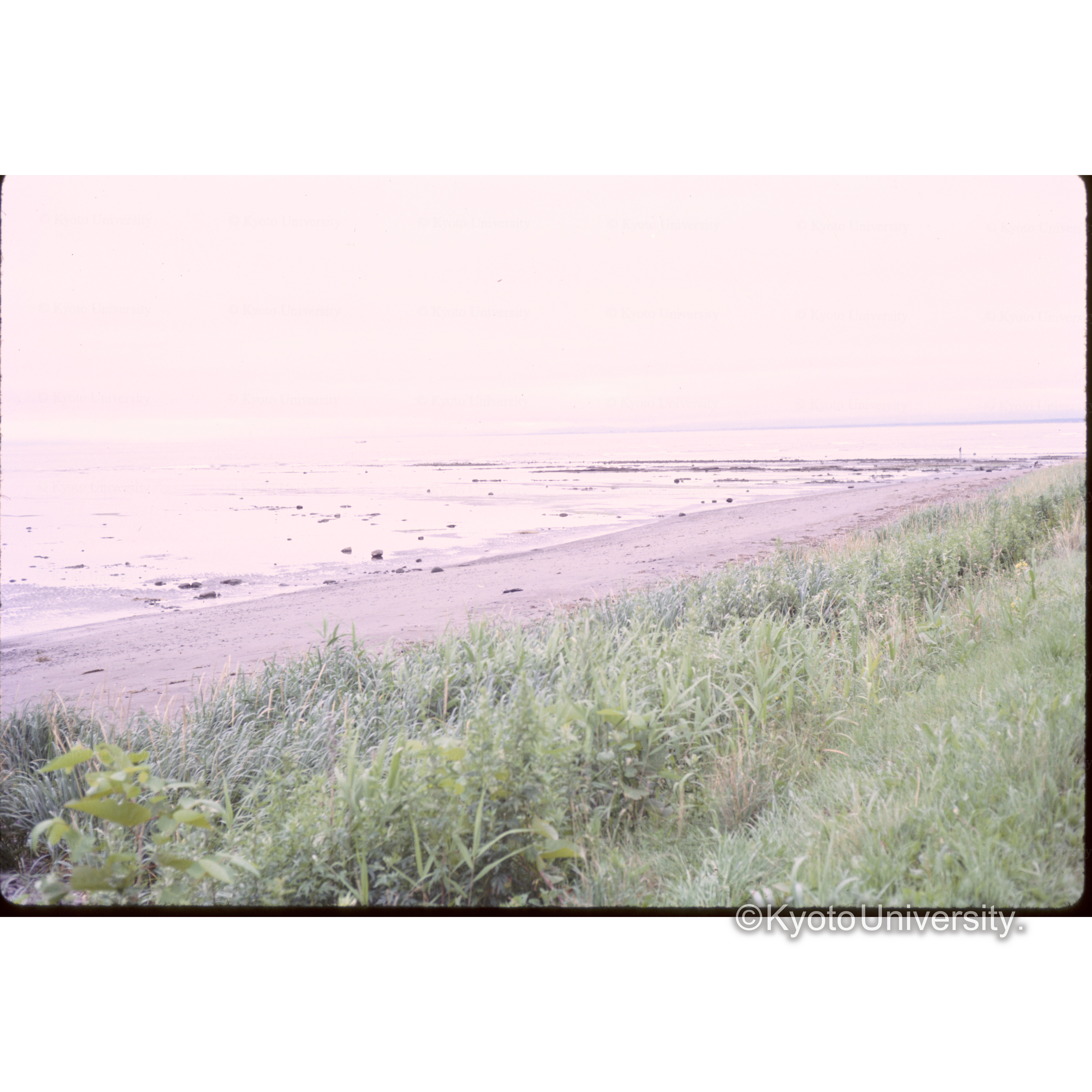 網走付近の海 (1)